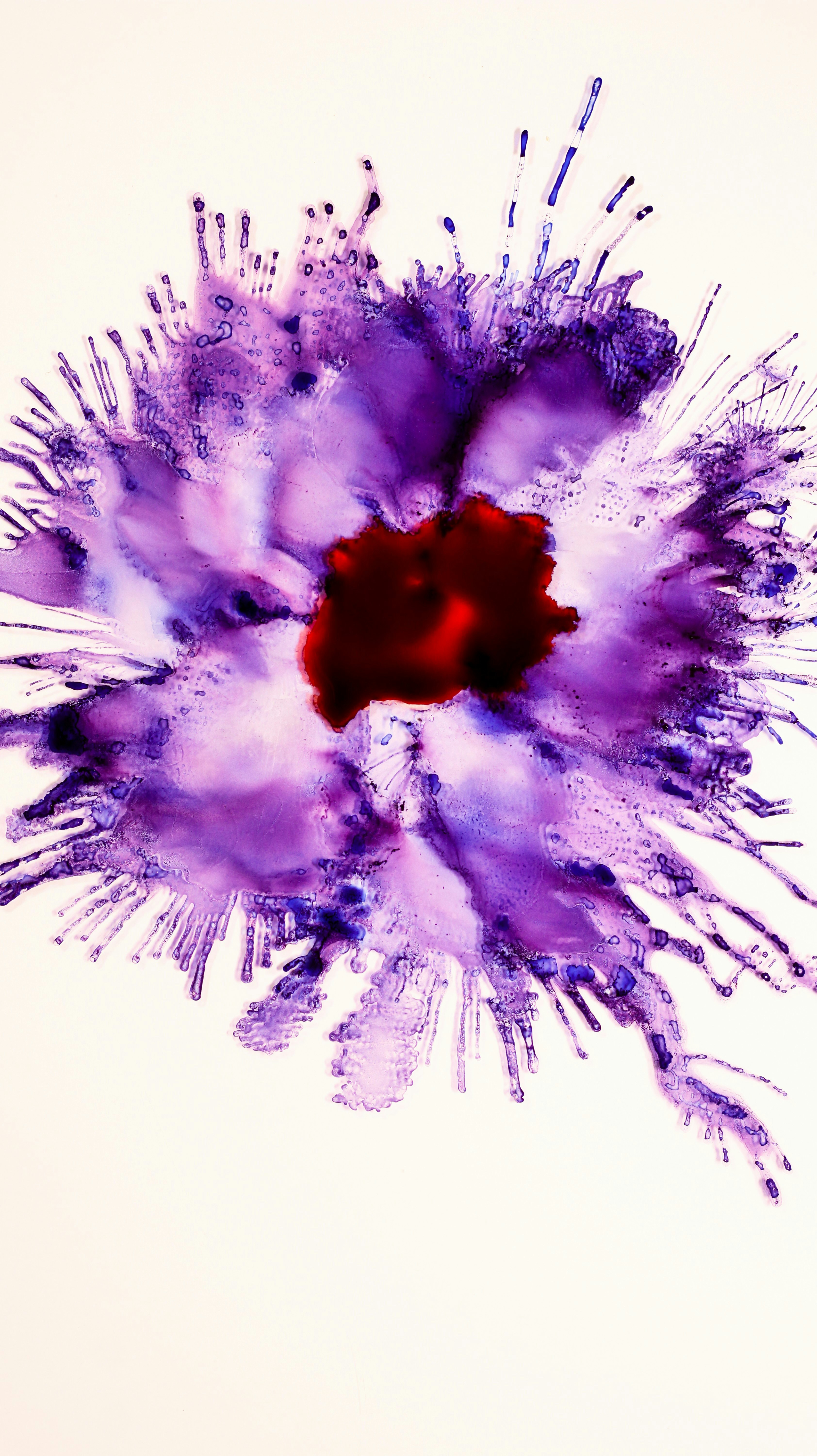 Understanding THCA Flower Chemistry and Potential ⁤Benefits