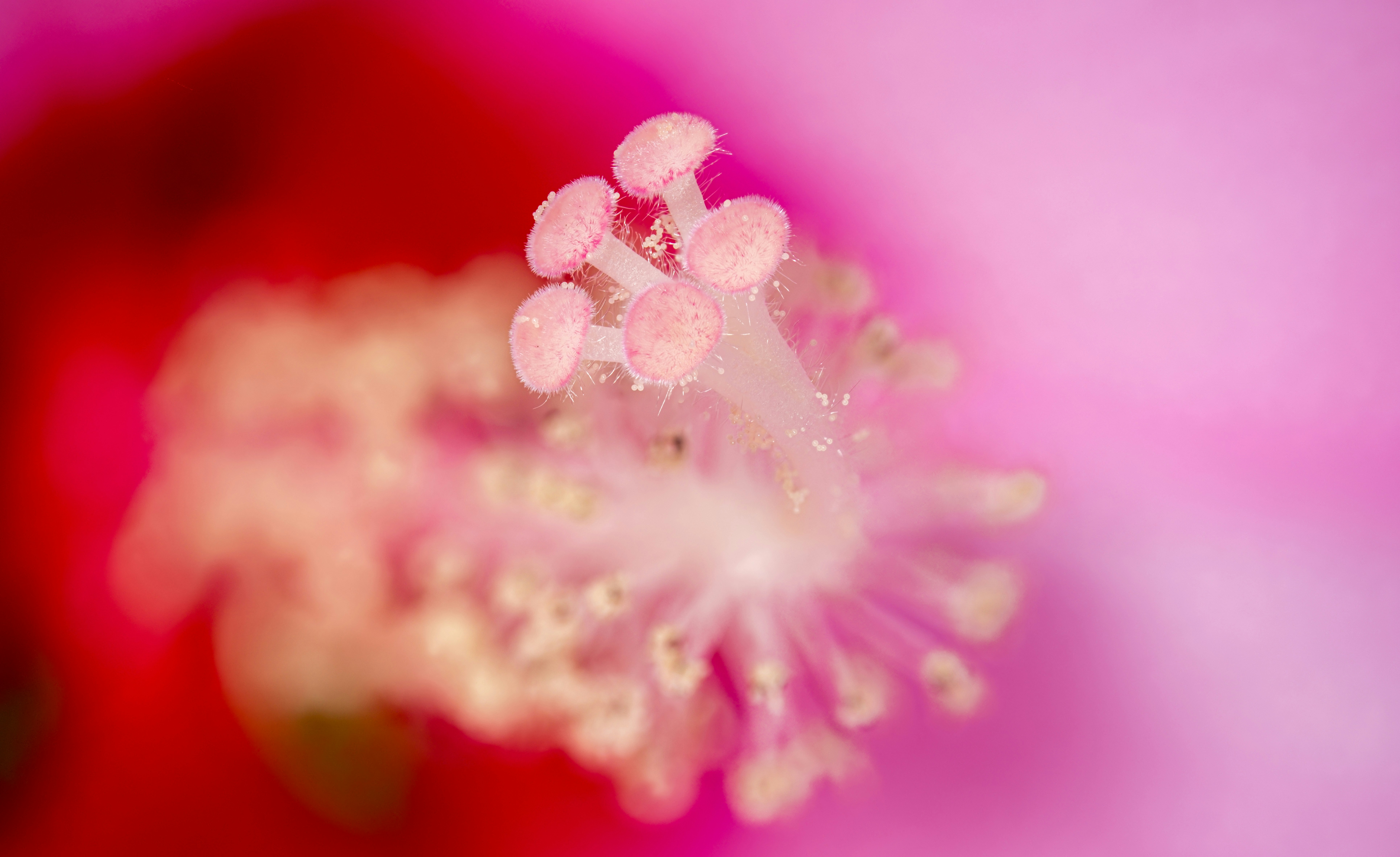 Photo by alexandredaoust