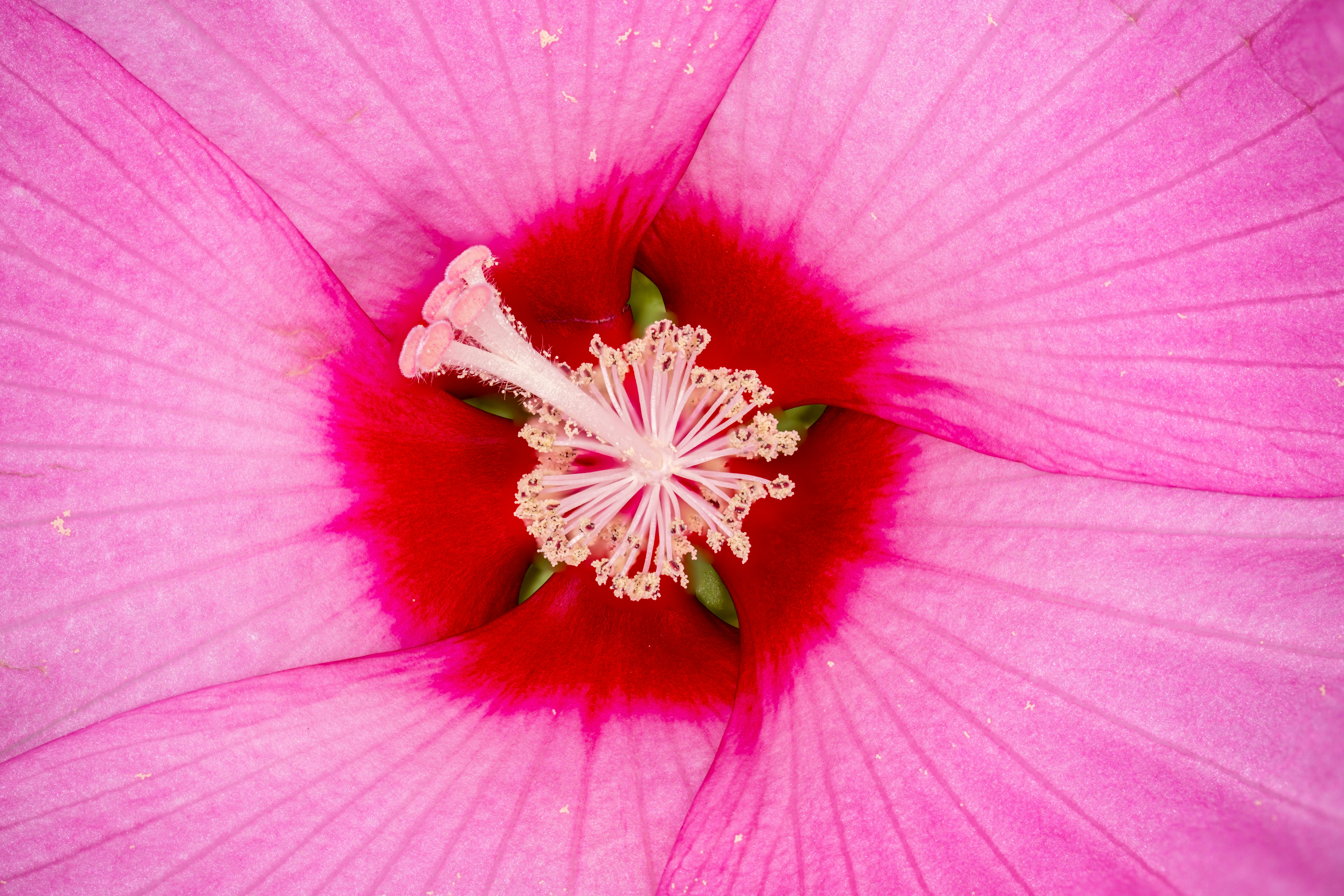 Photo by alexandredaoust