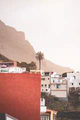 A view of a city with mountains in the background