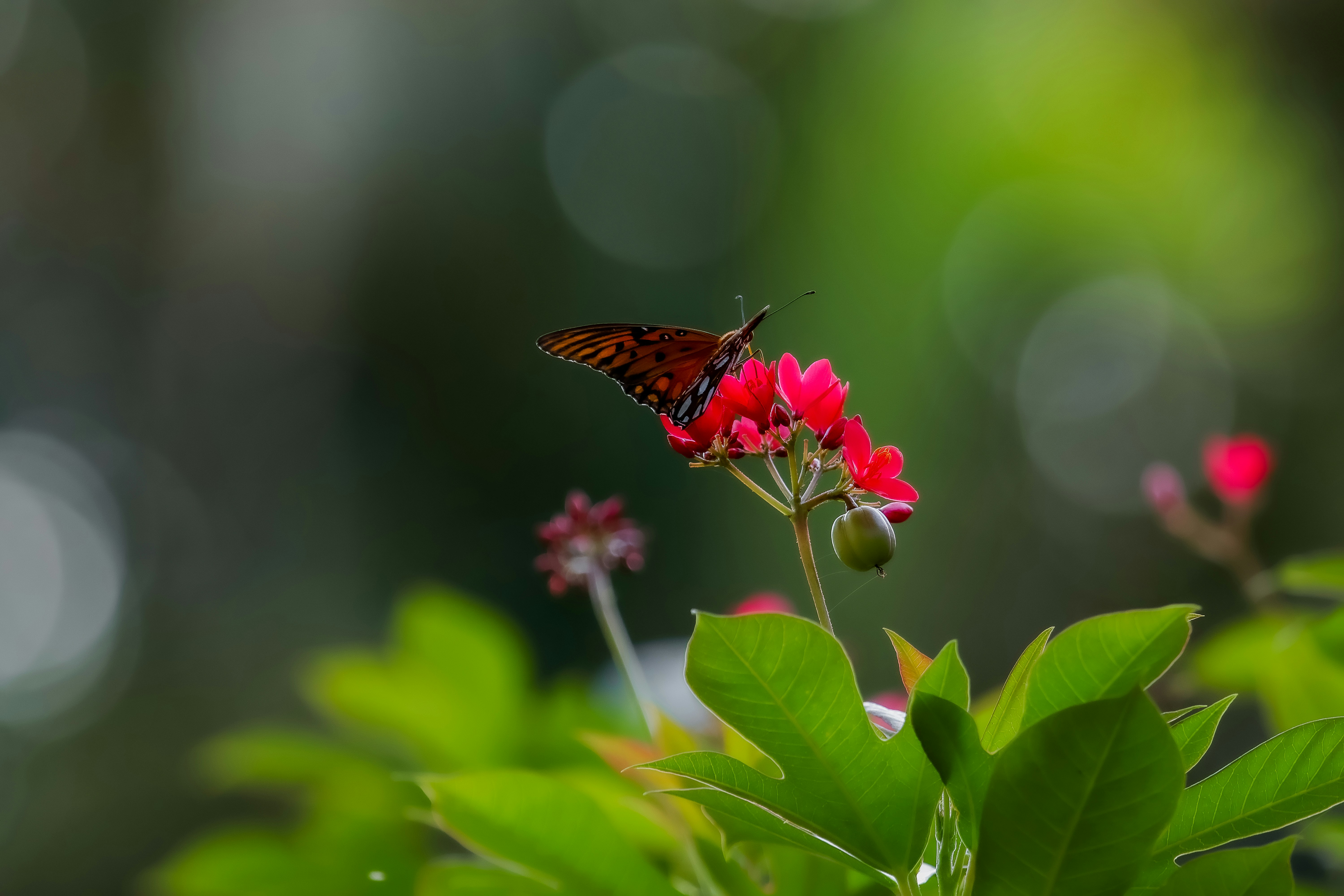 Photo by adriancross05