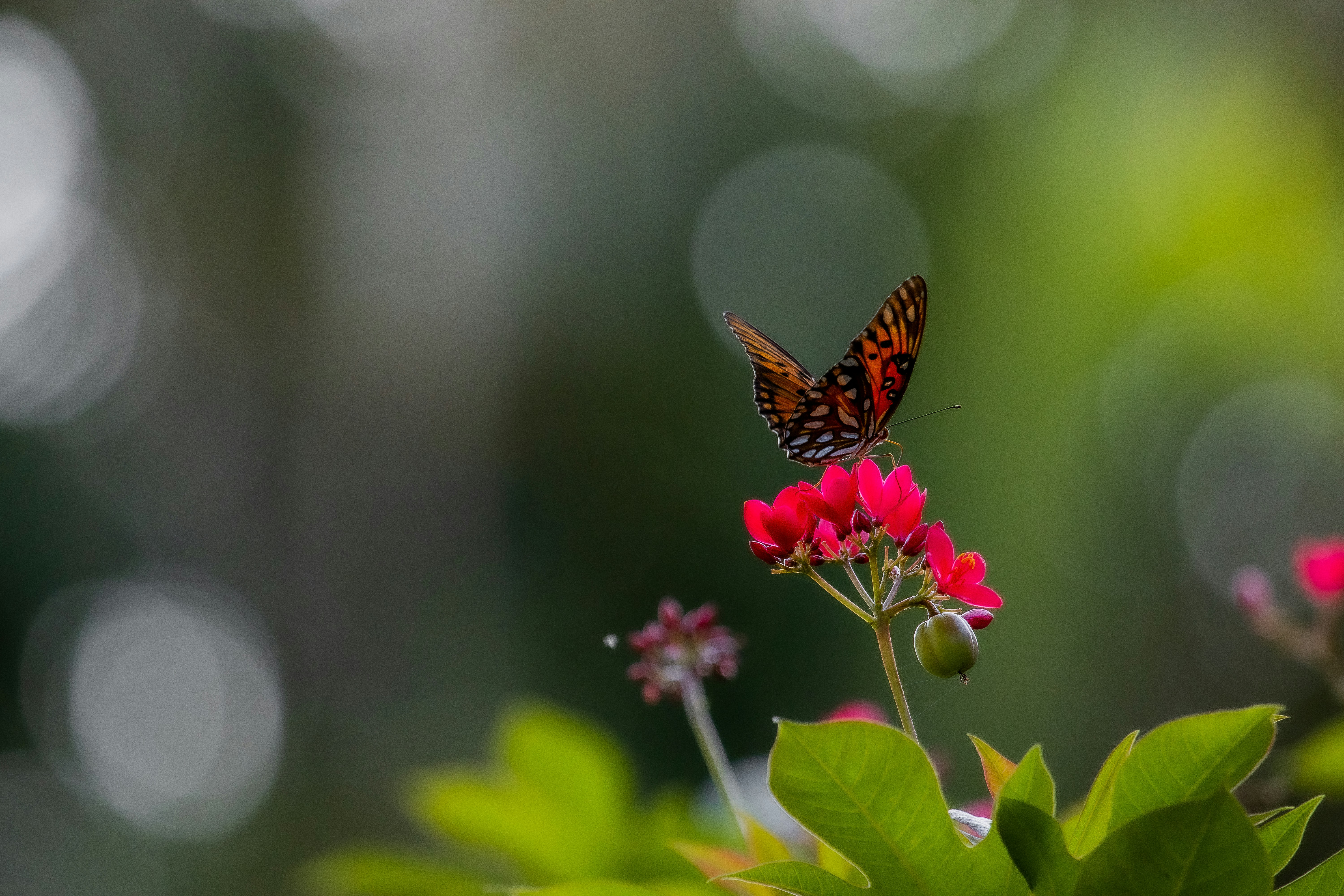 Photo by adriancross05