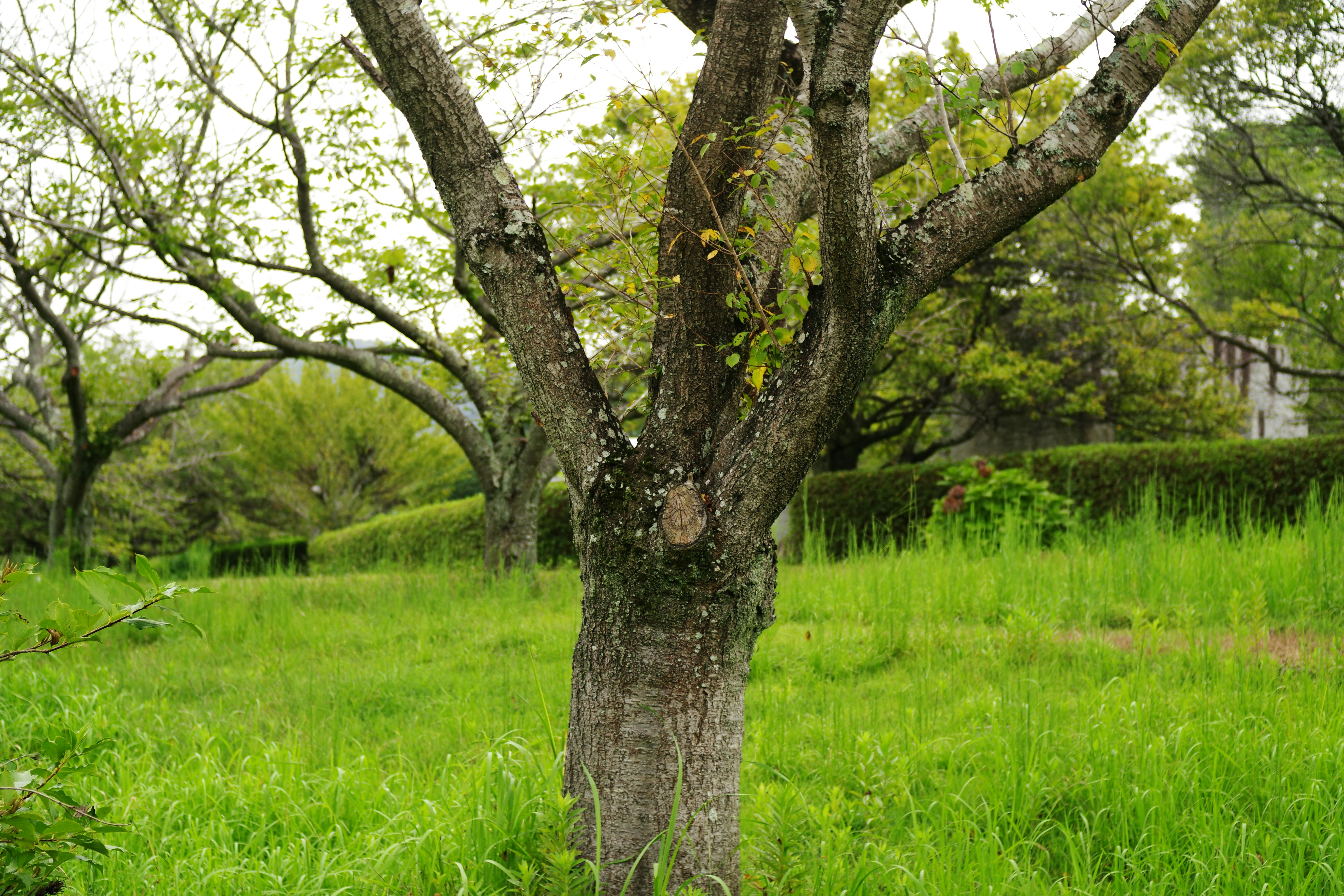 Photo by naopp