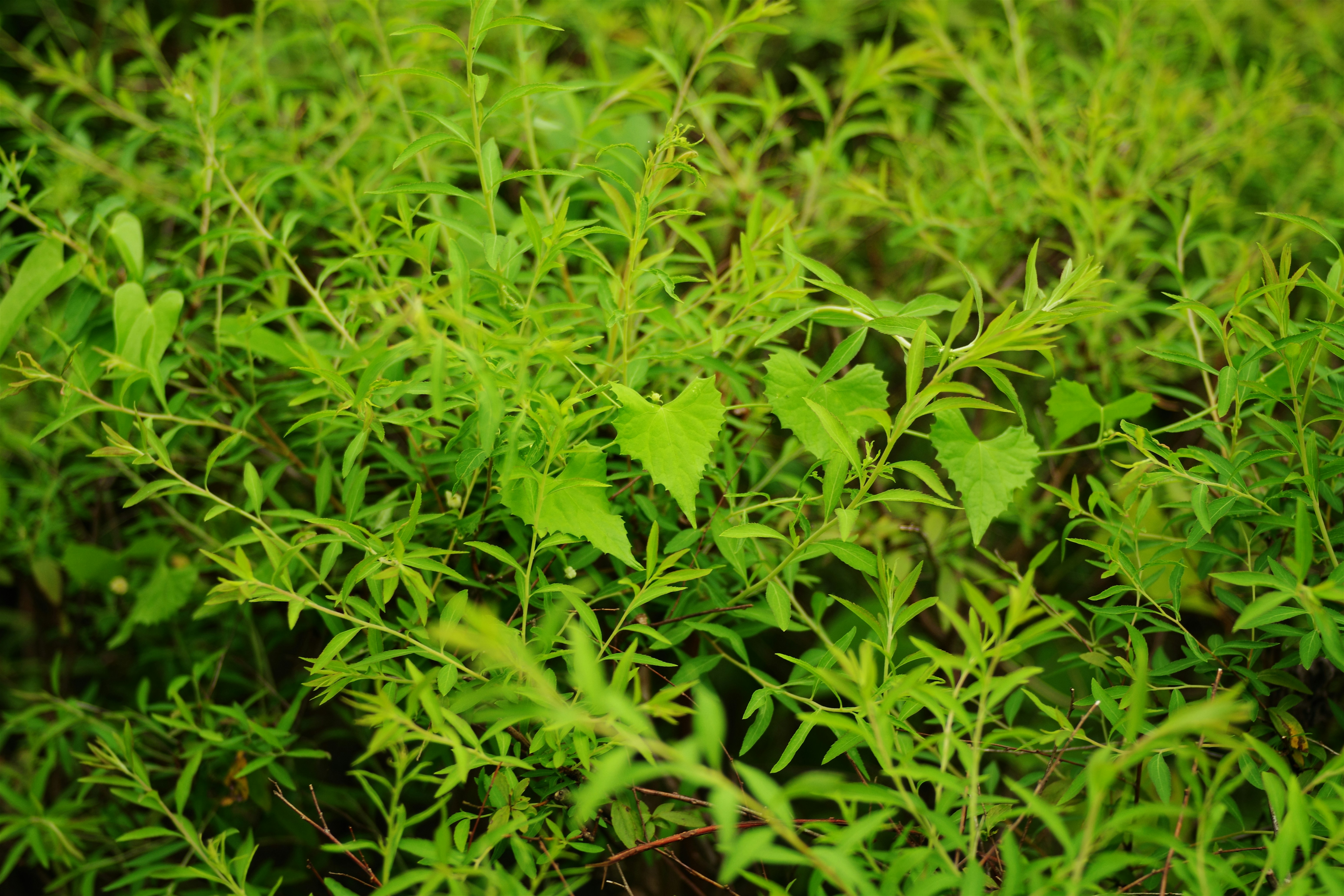 😱震驚！你家裝潢根本是「風水毒藥」？99%的人都忽略的致命錯誤！