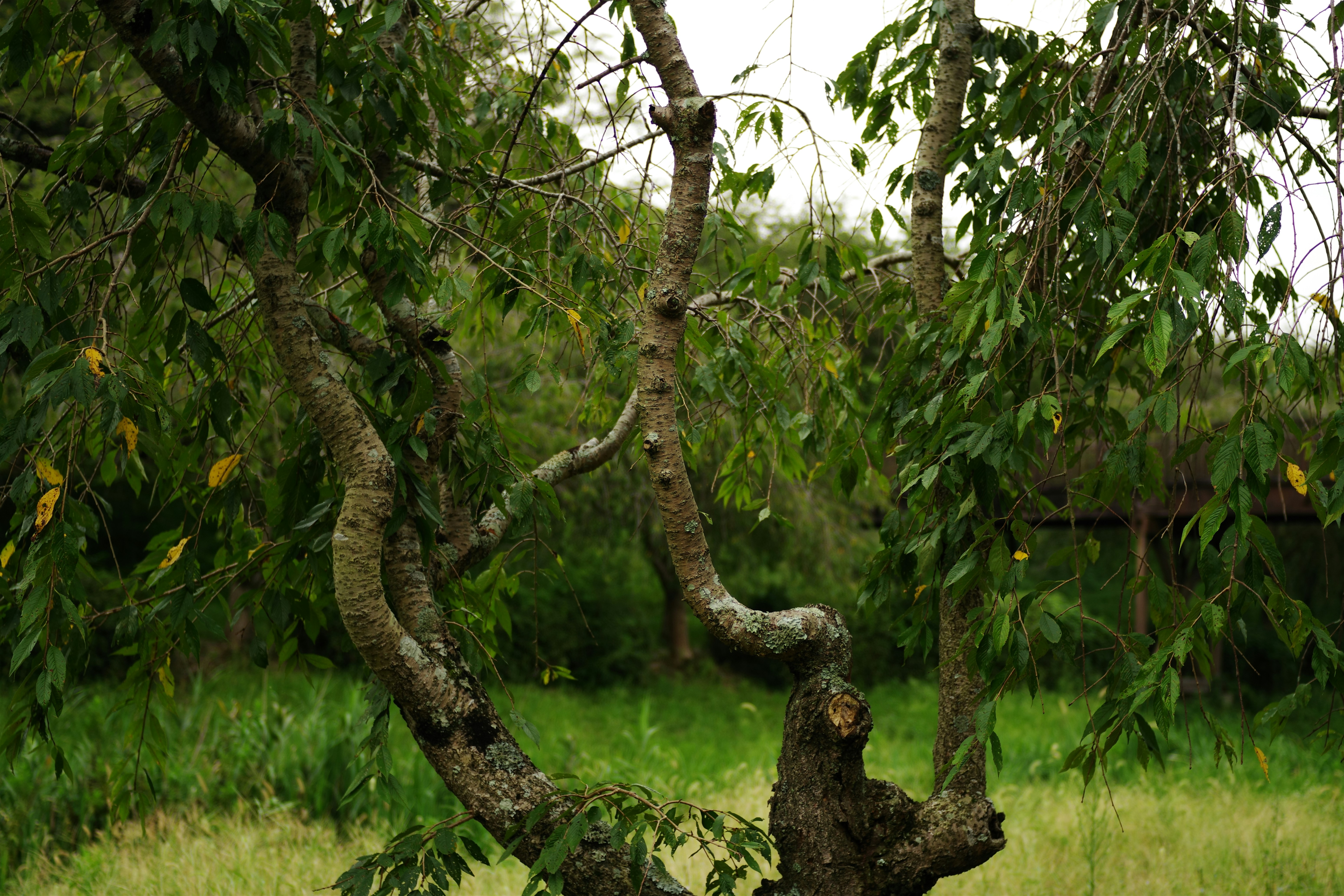 😱震驚！99%的人都不知道的居家清潔真相，看完我直接跪了！