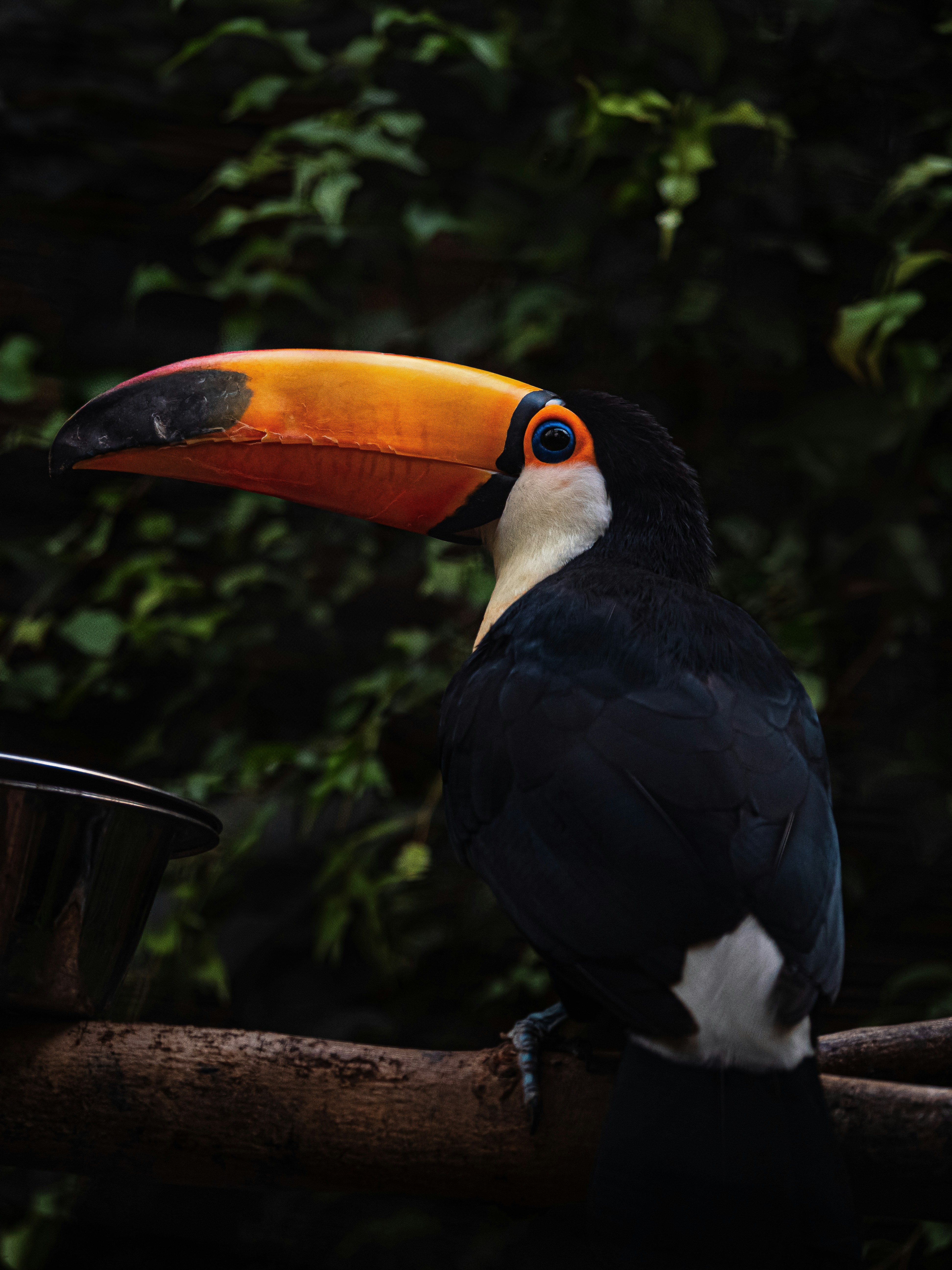 Photo by guillaumechabrol