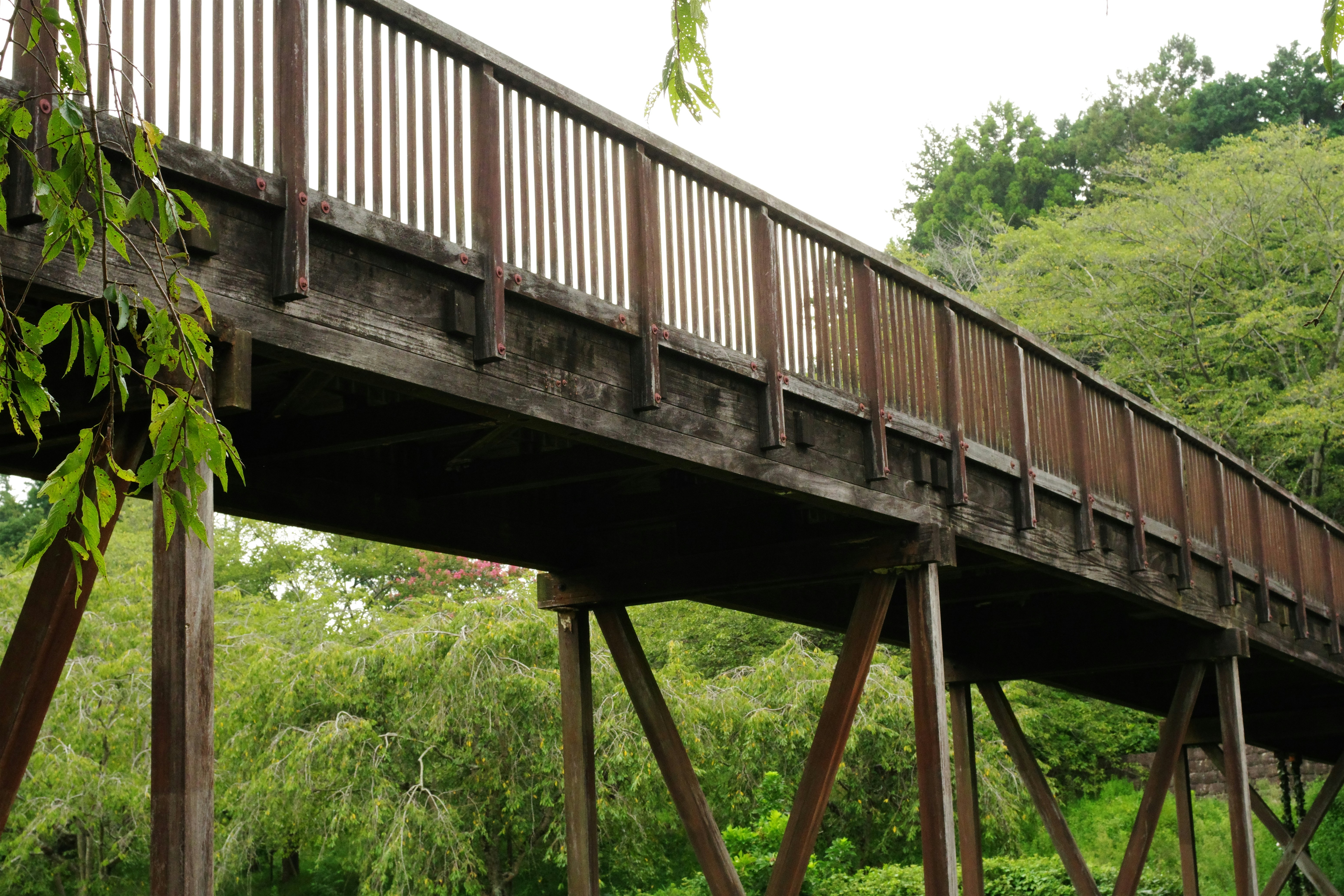 😱 婆媽們瘋搶！家裡這樣擺，財運爆棚到你不敢信！