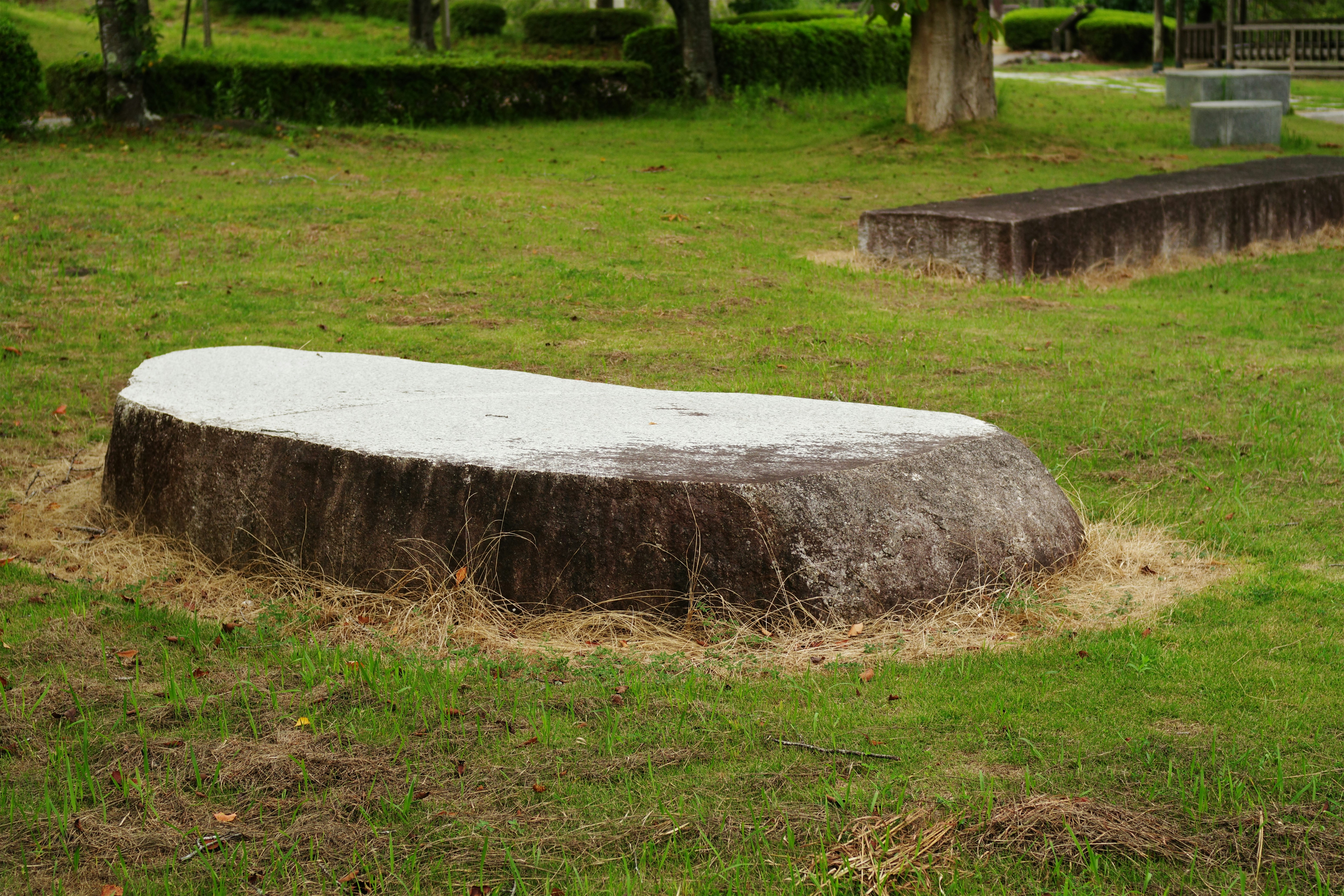 😱 家裡這幾處超髒你竟沒發現？專家：病菌爆量！