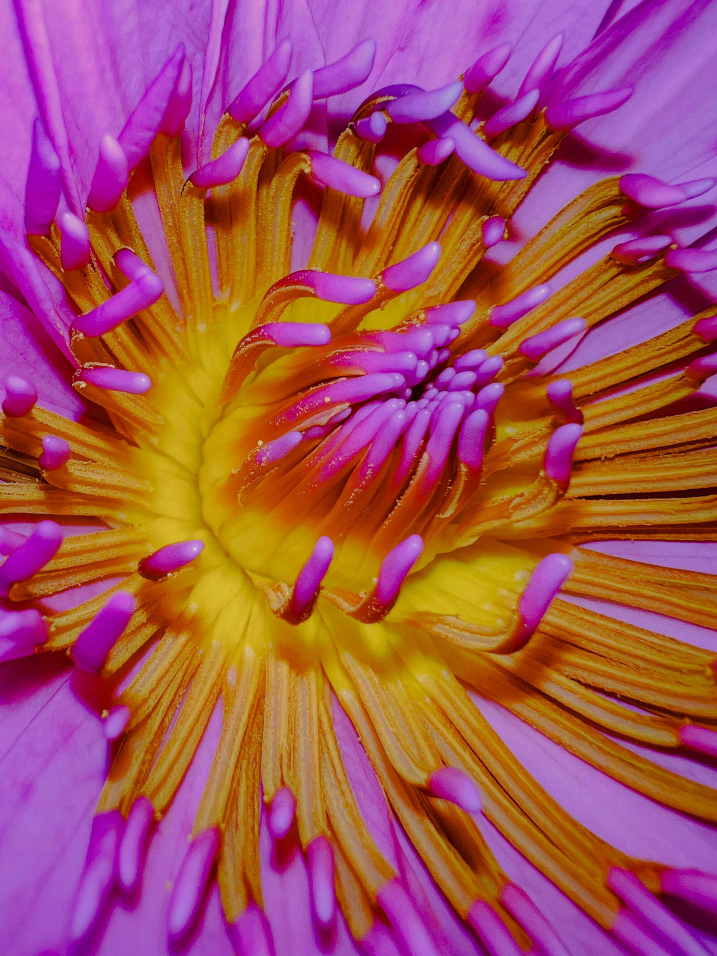 Photo by photohunter