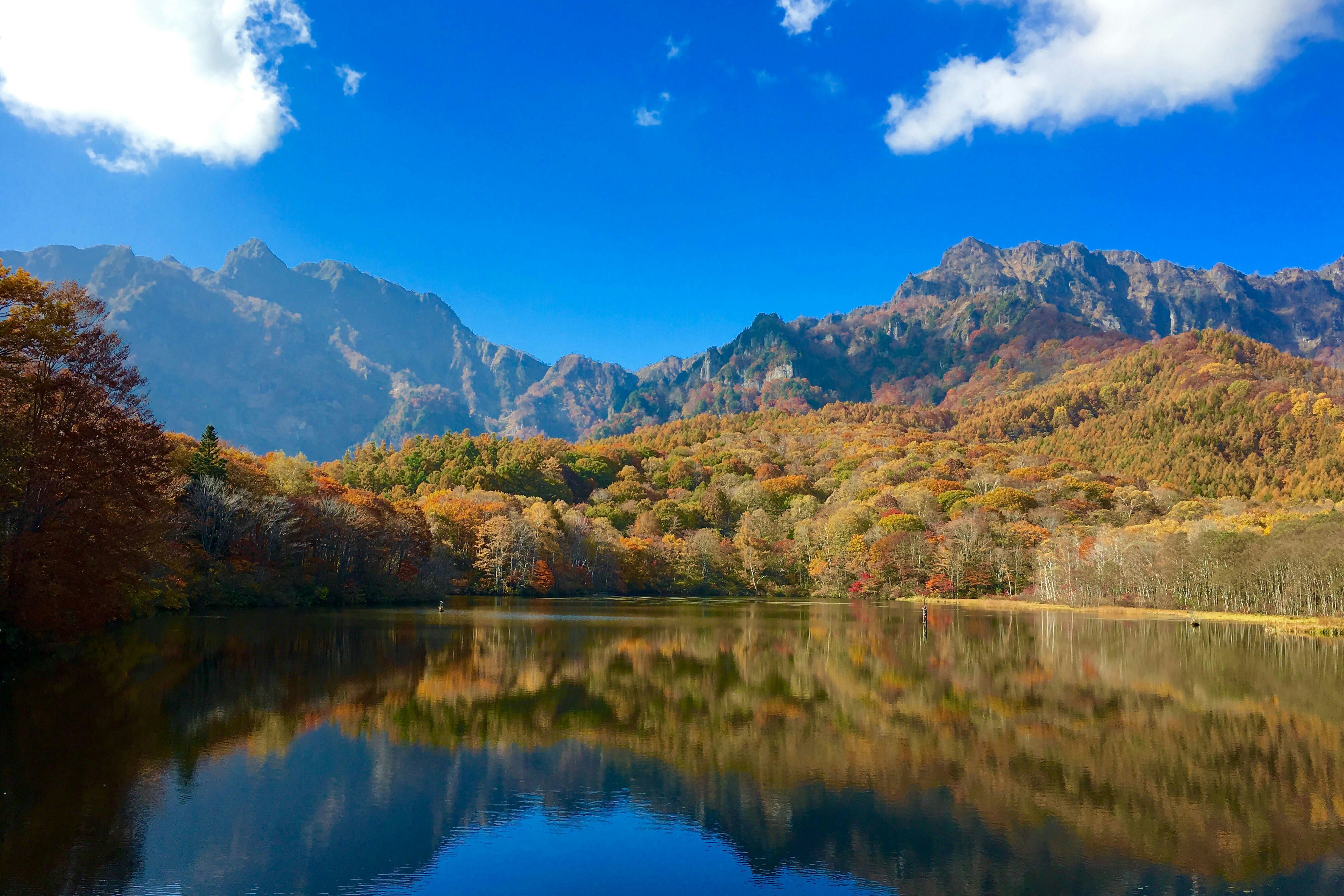 Photo by tad_higuchi