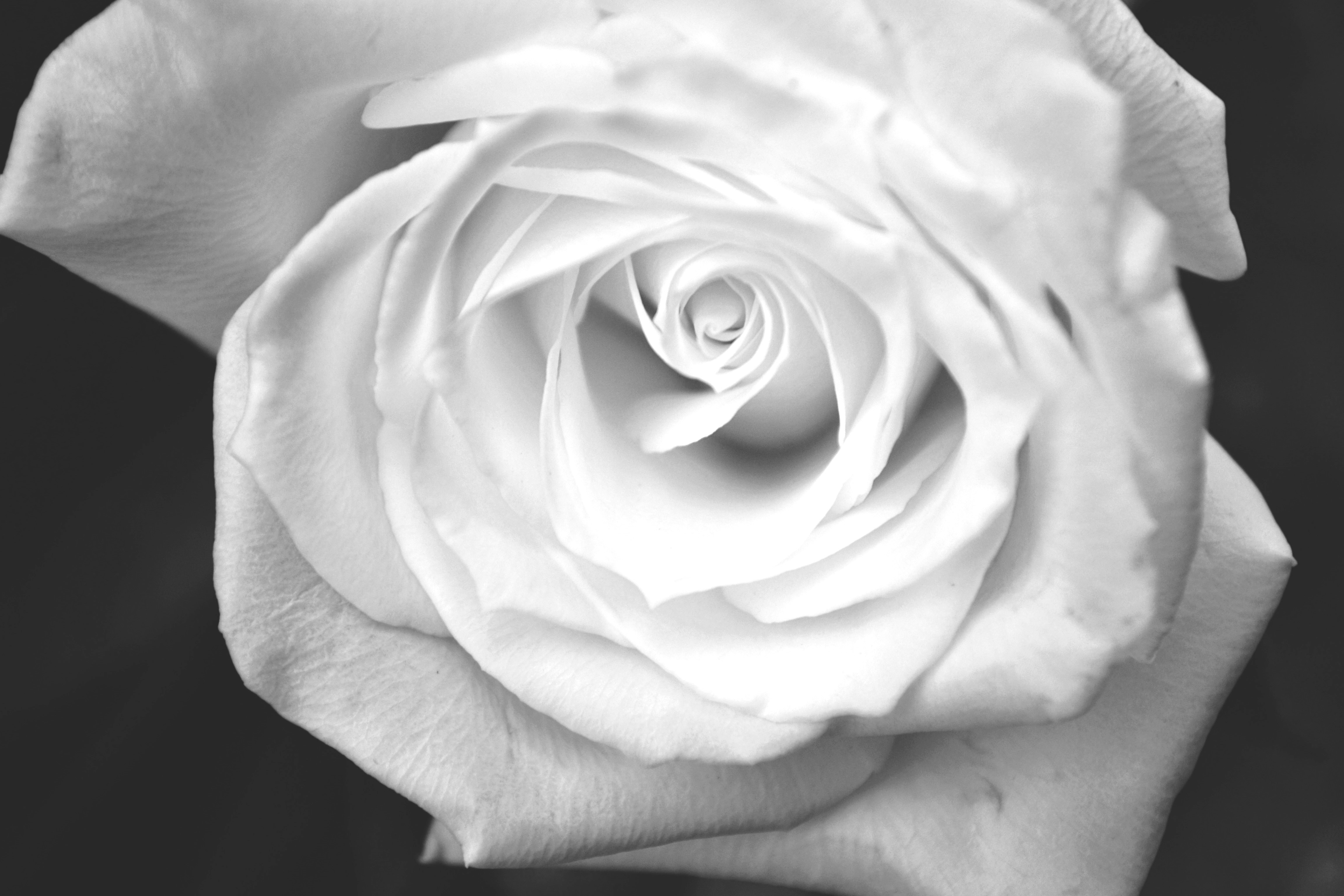 Photo by markagardphoto