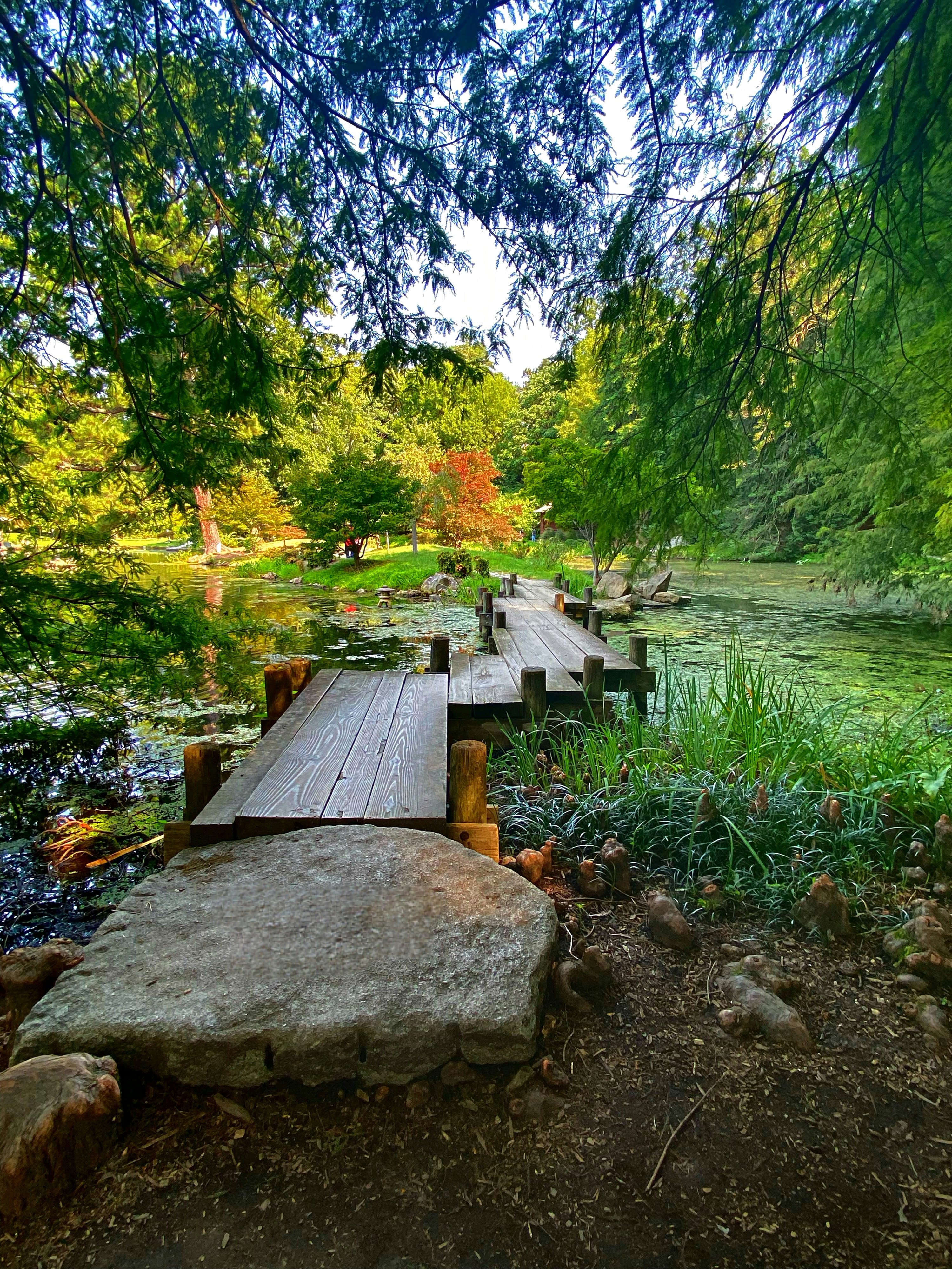 Photo by daniellereneasphotography