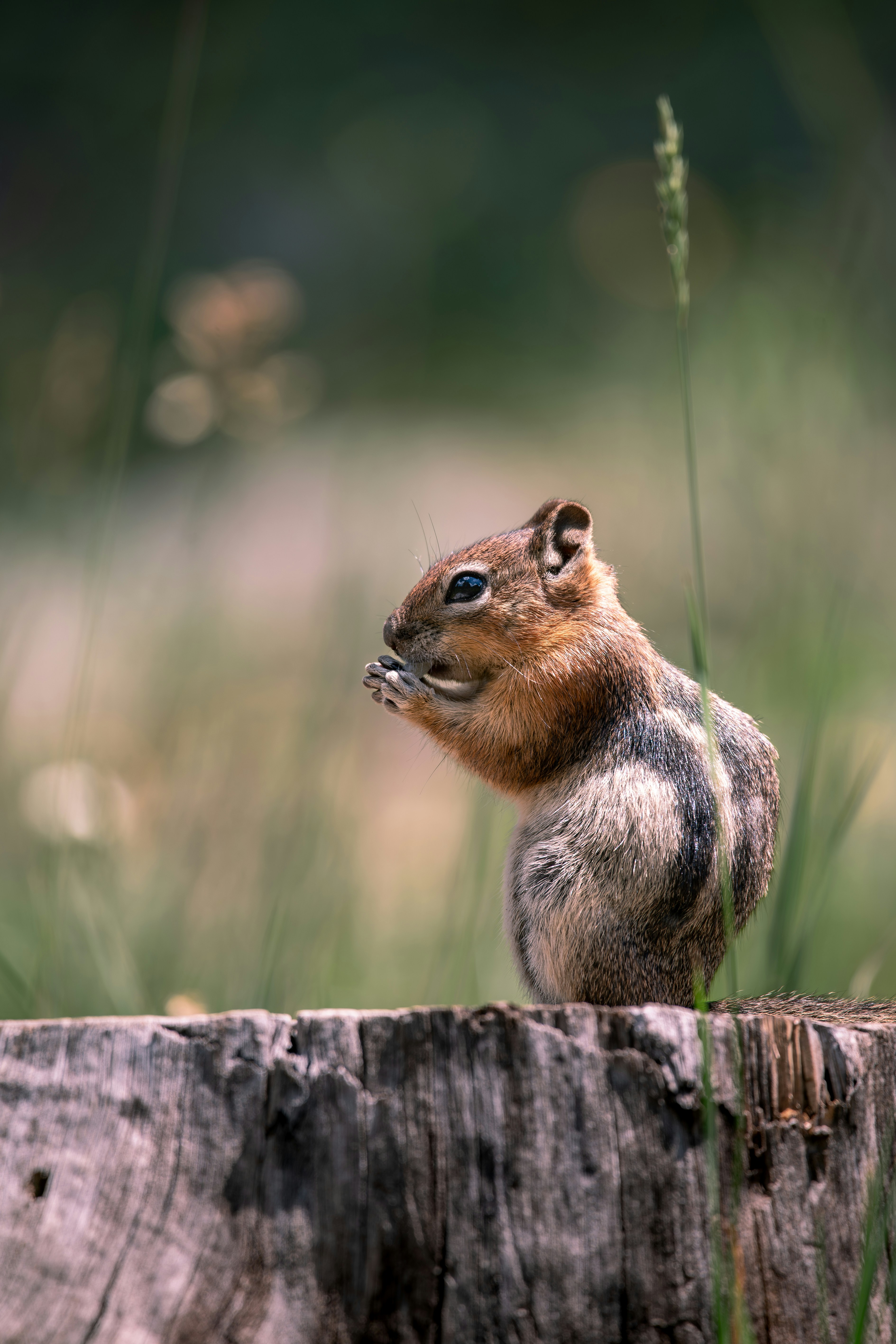 Photo by claytonschase