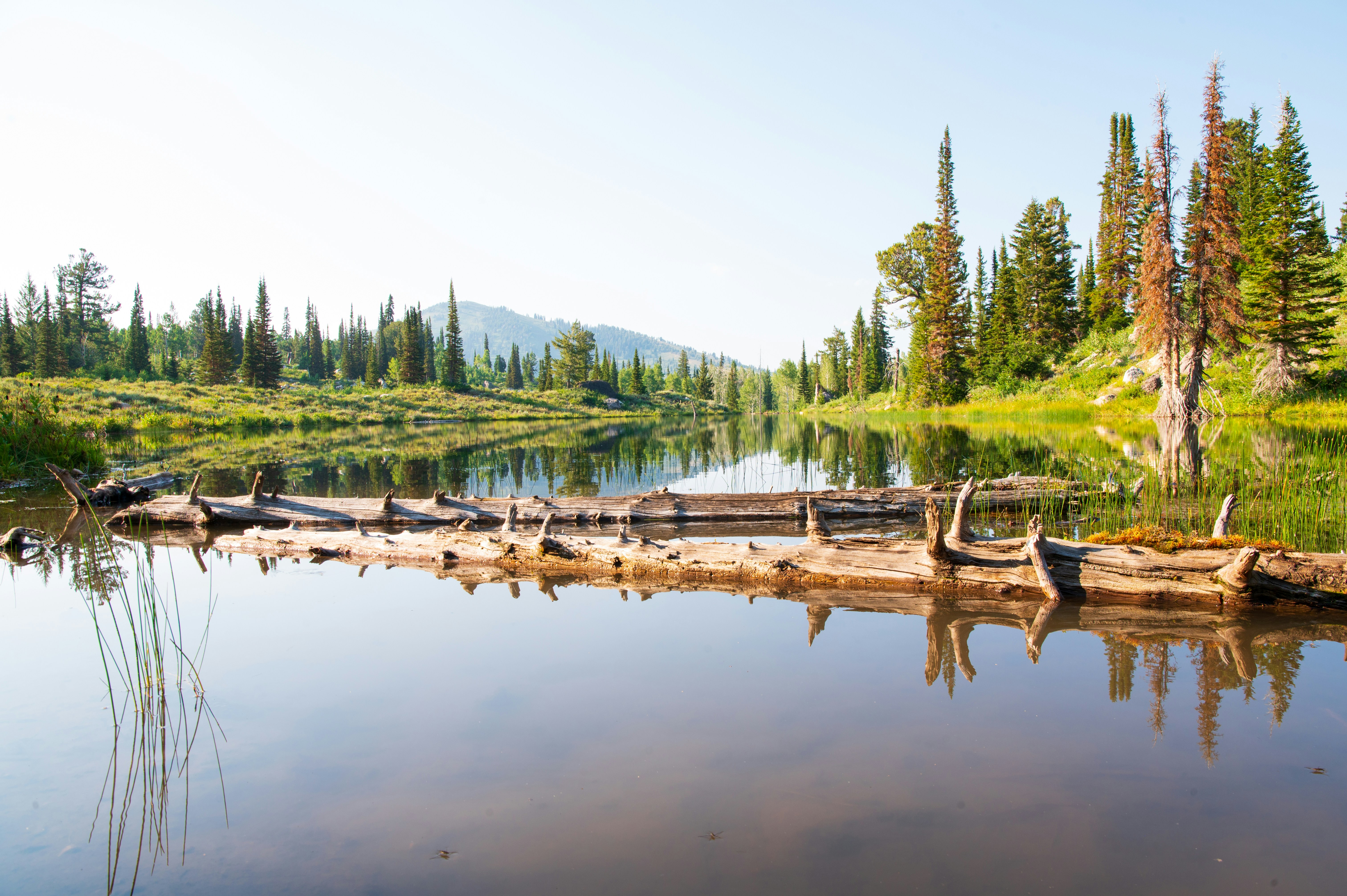 Photo by claytonschase