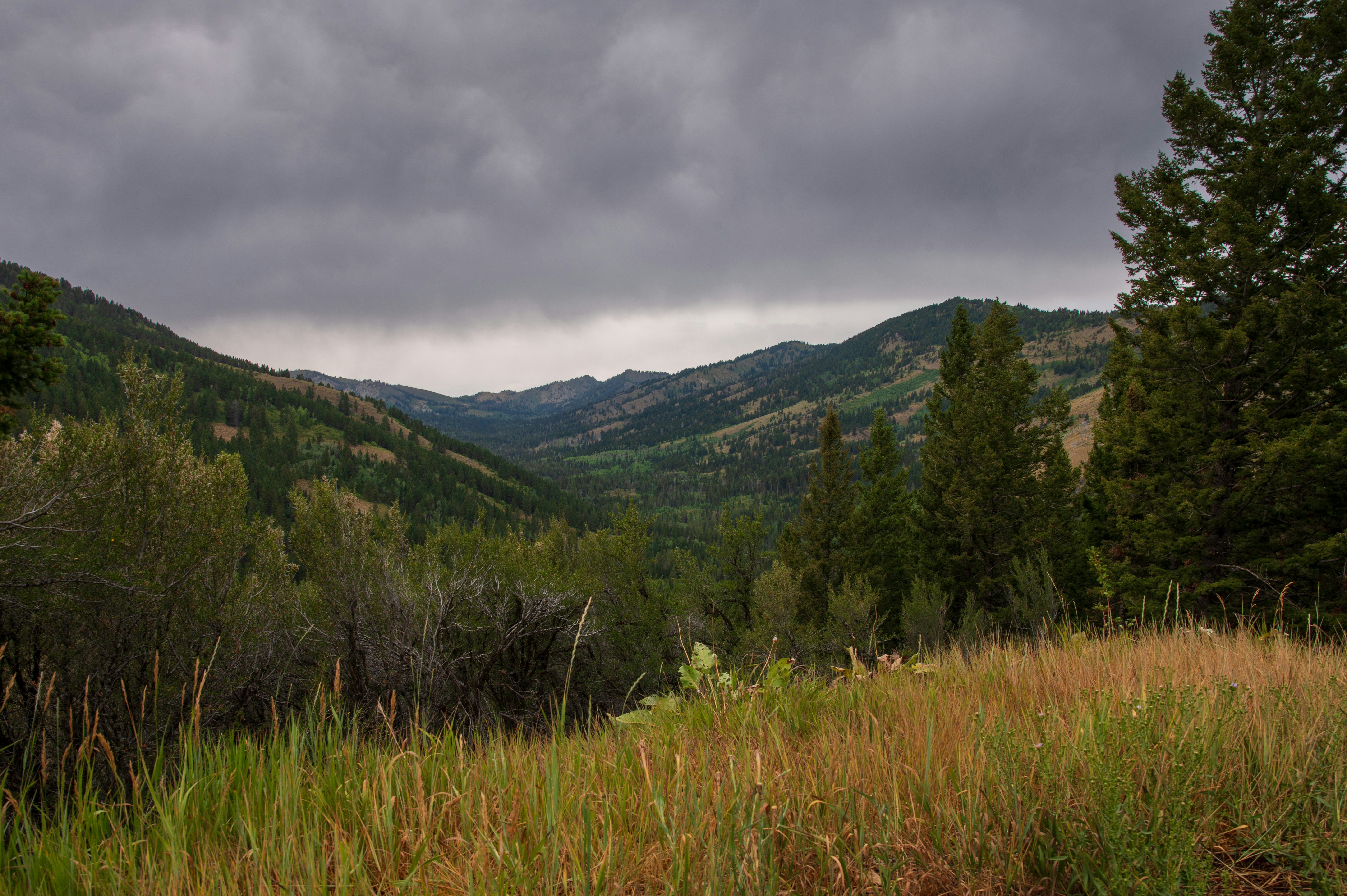 Photo by claytonschase