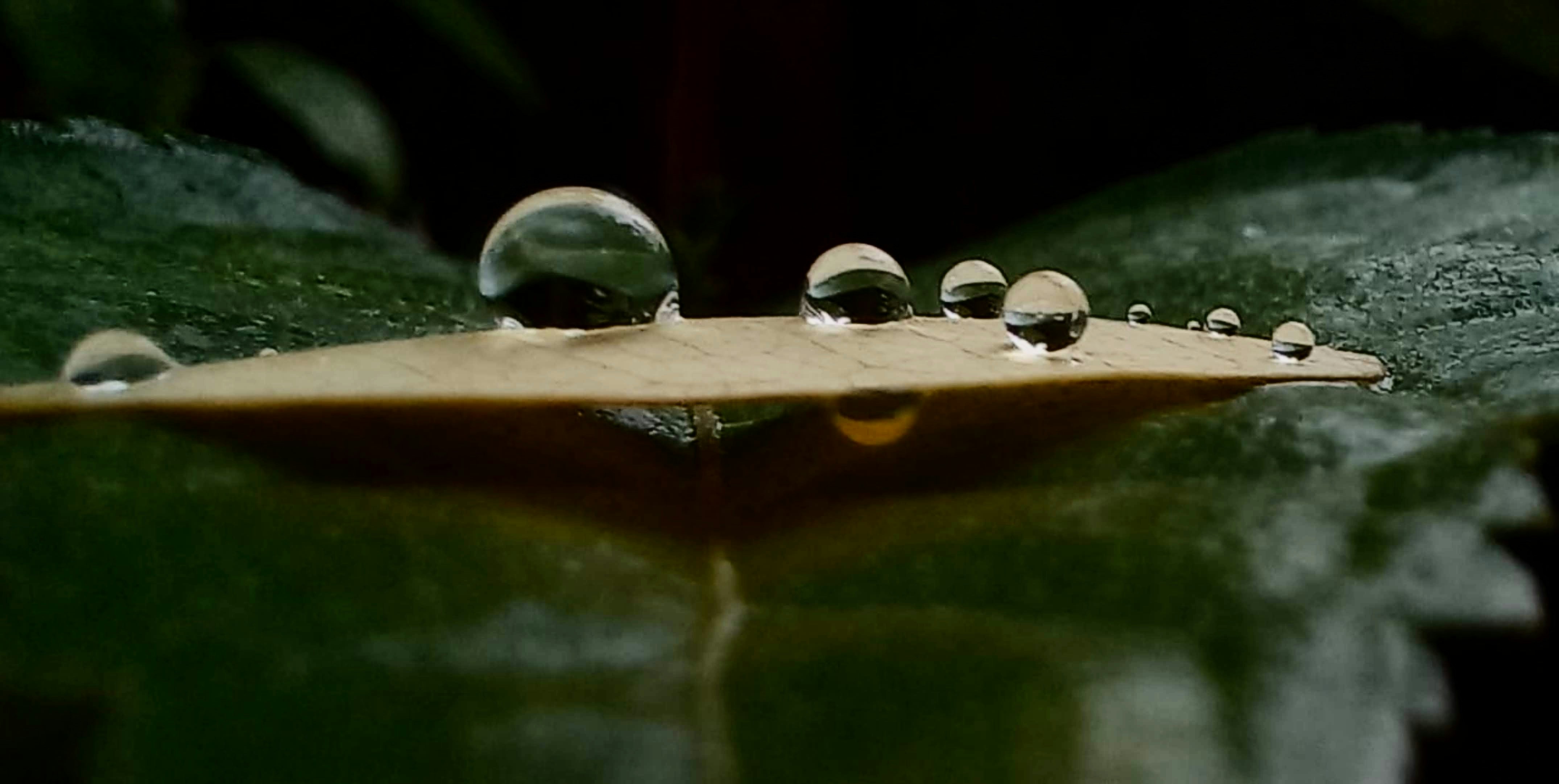 clean water drops, wallpaper, Bisnis Air Isi Ulang: Peluang, Modal, dan Cara Sukses 5