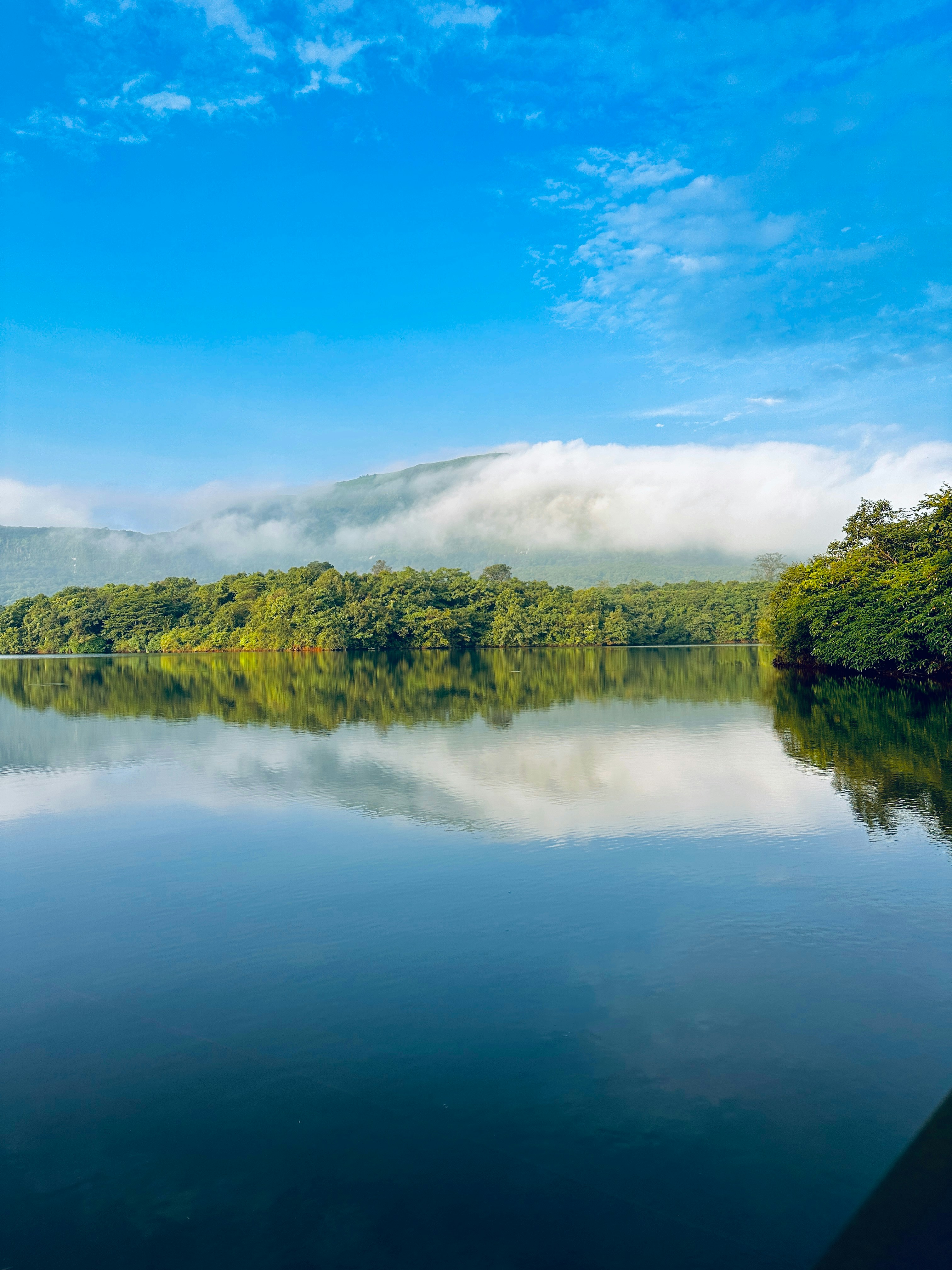 Photo by amitabhnegi