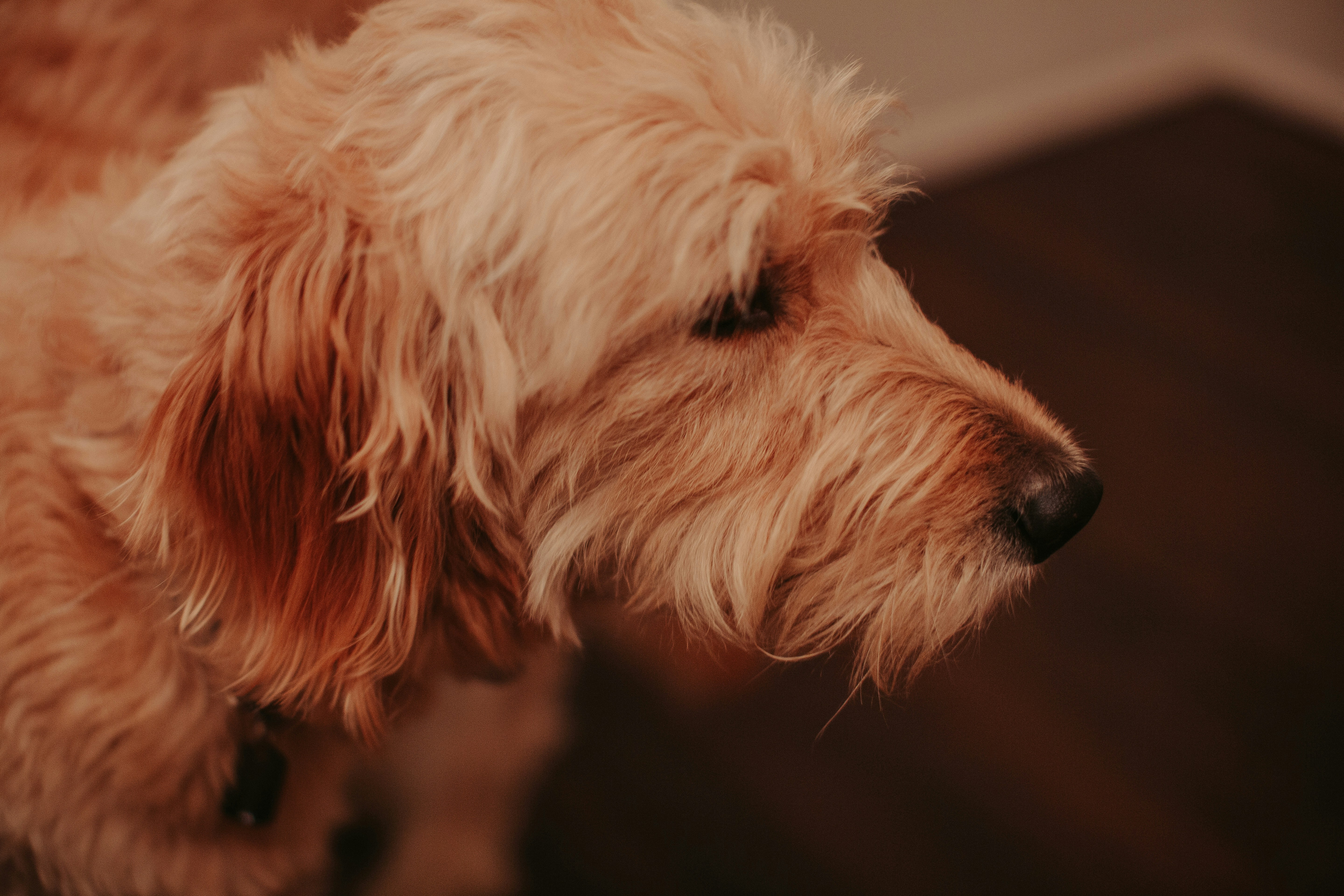 Photo by samuelyongbo