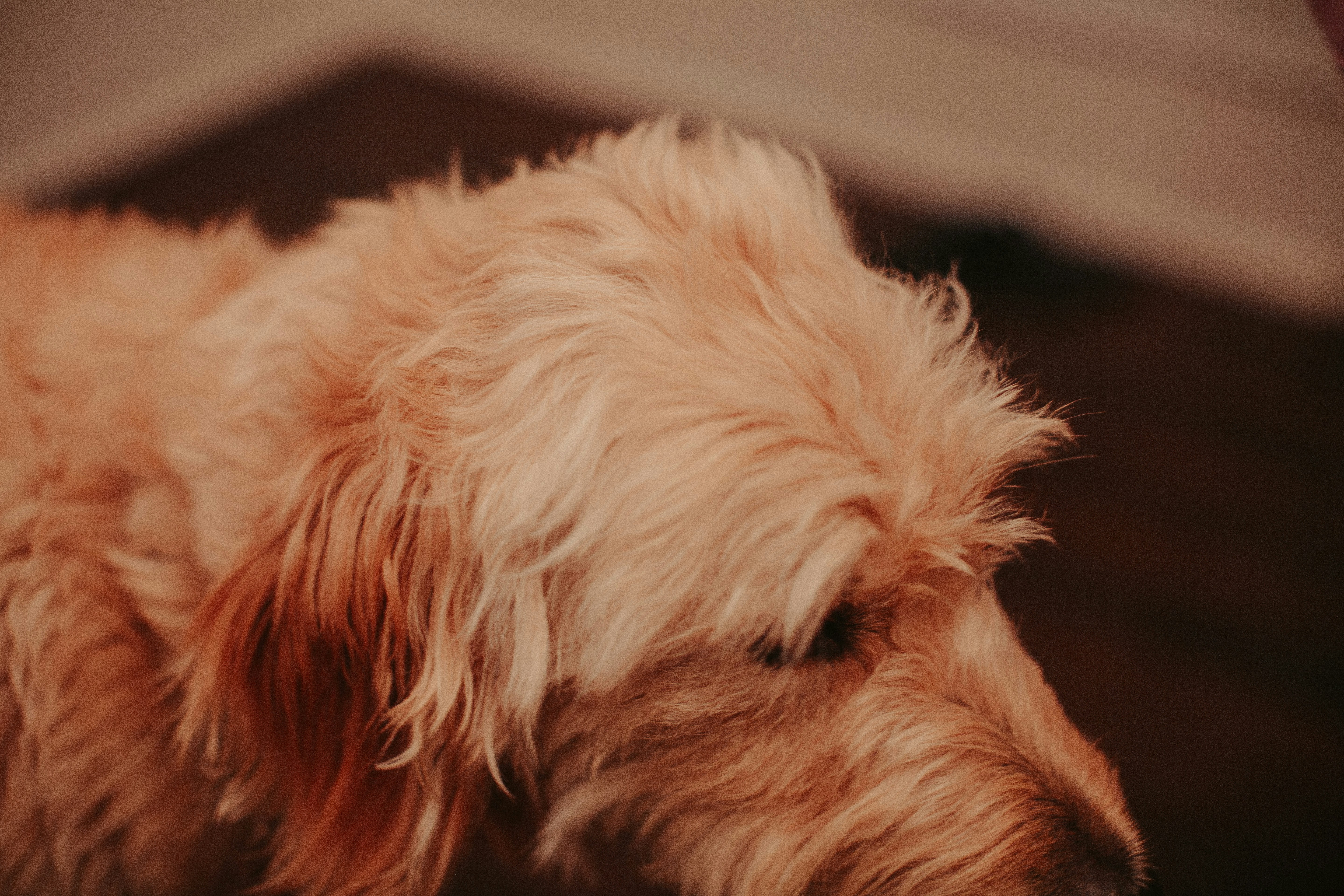 Photo by samuelyongbo