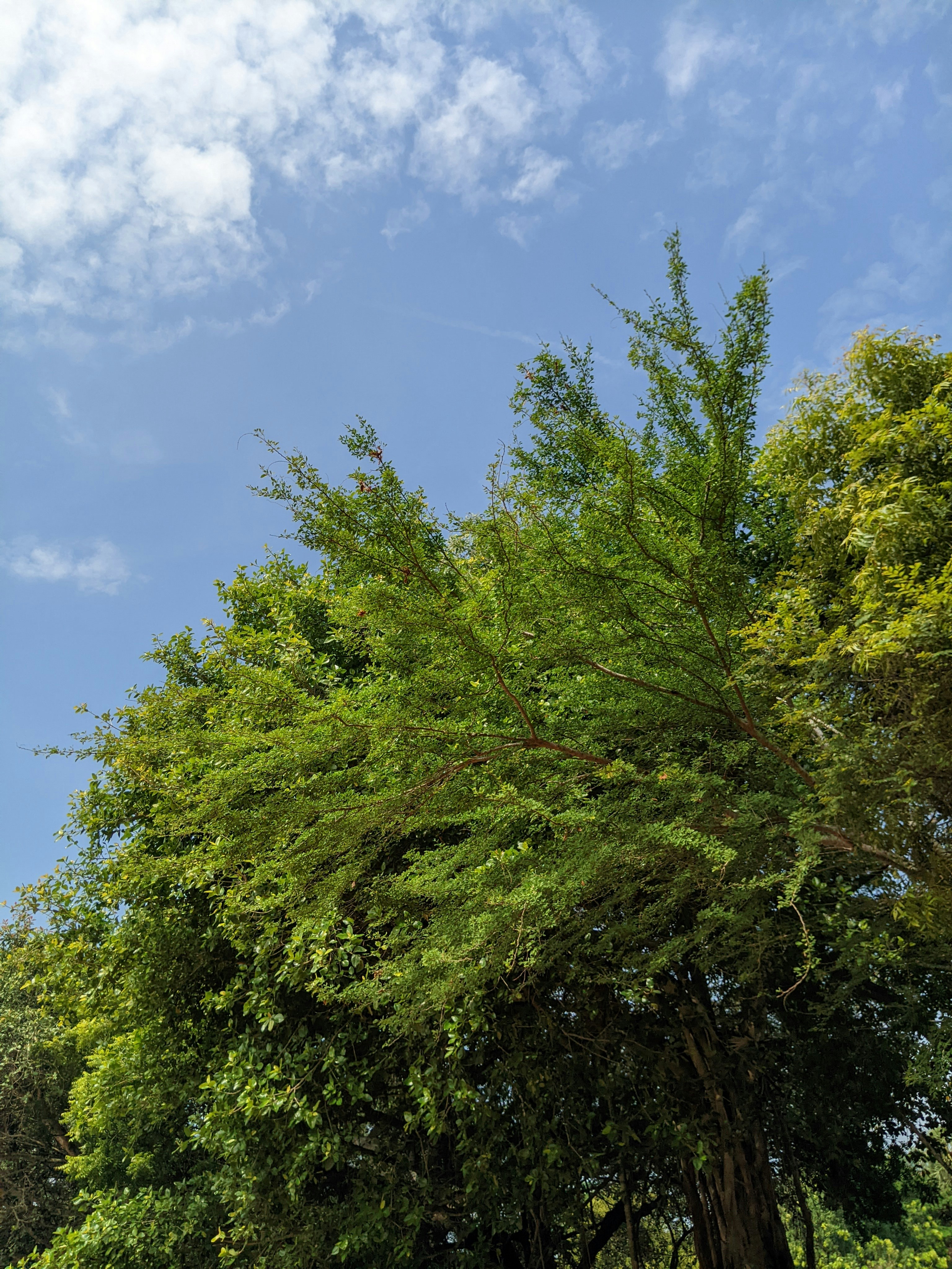 Photo by joseph_ebinezar