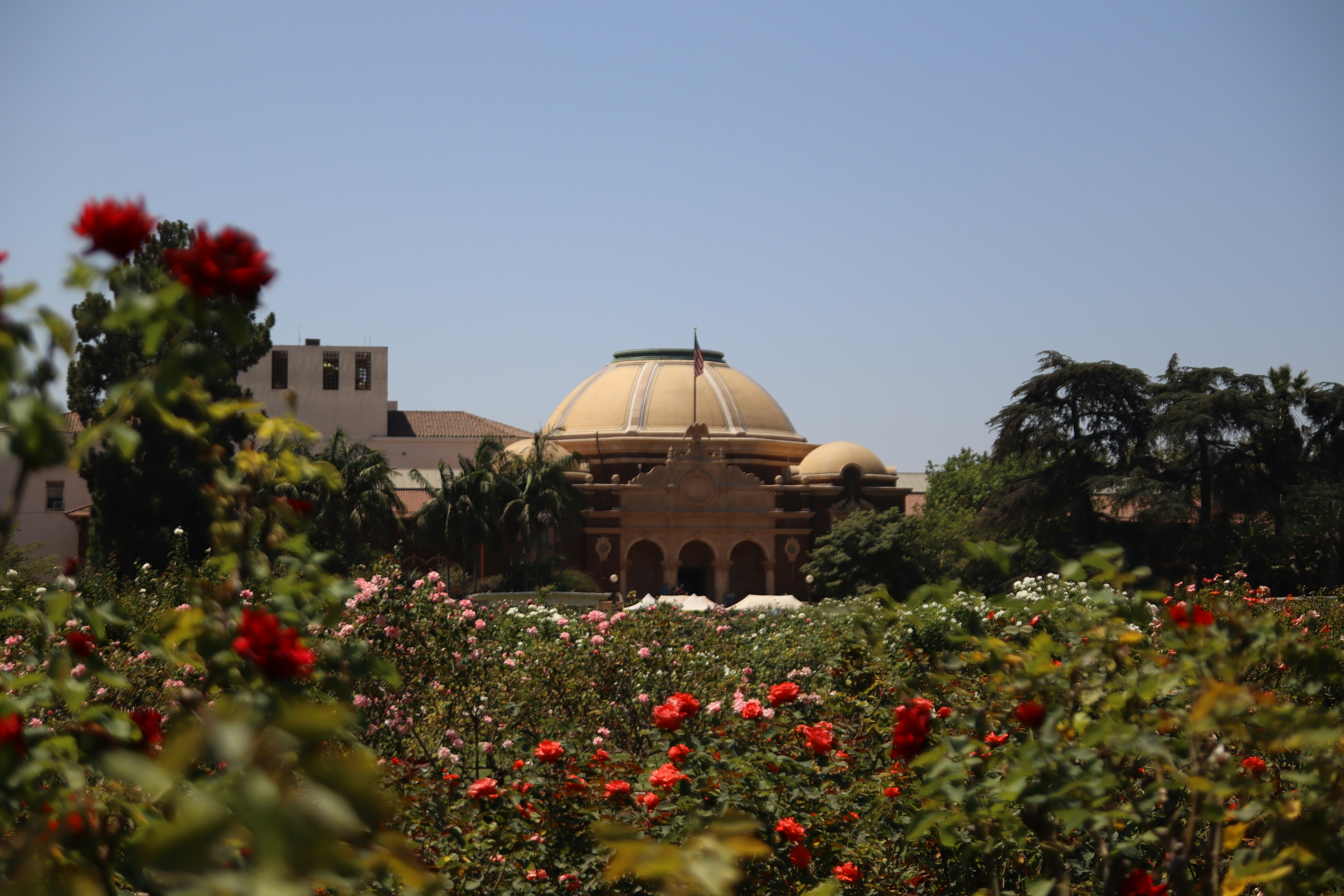 Un edificio con una cúpula en medio de un campo de flores