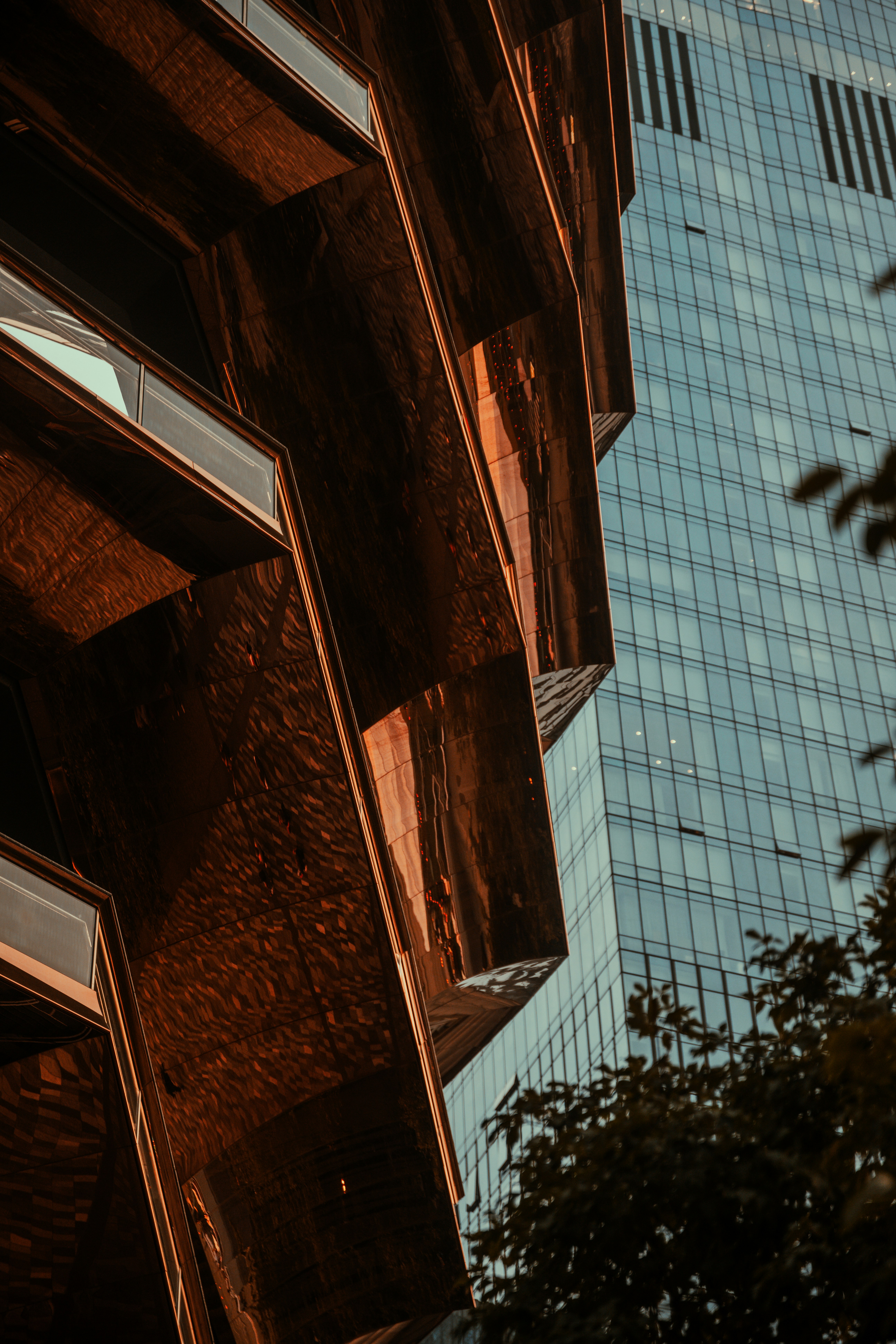 Photo by onthesearchforpineapples