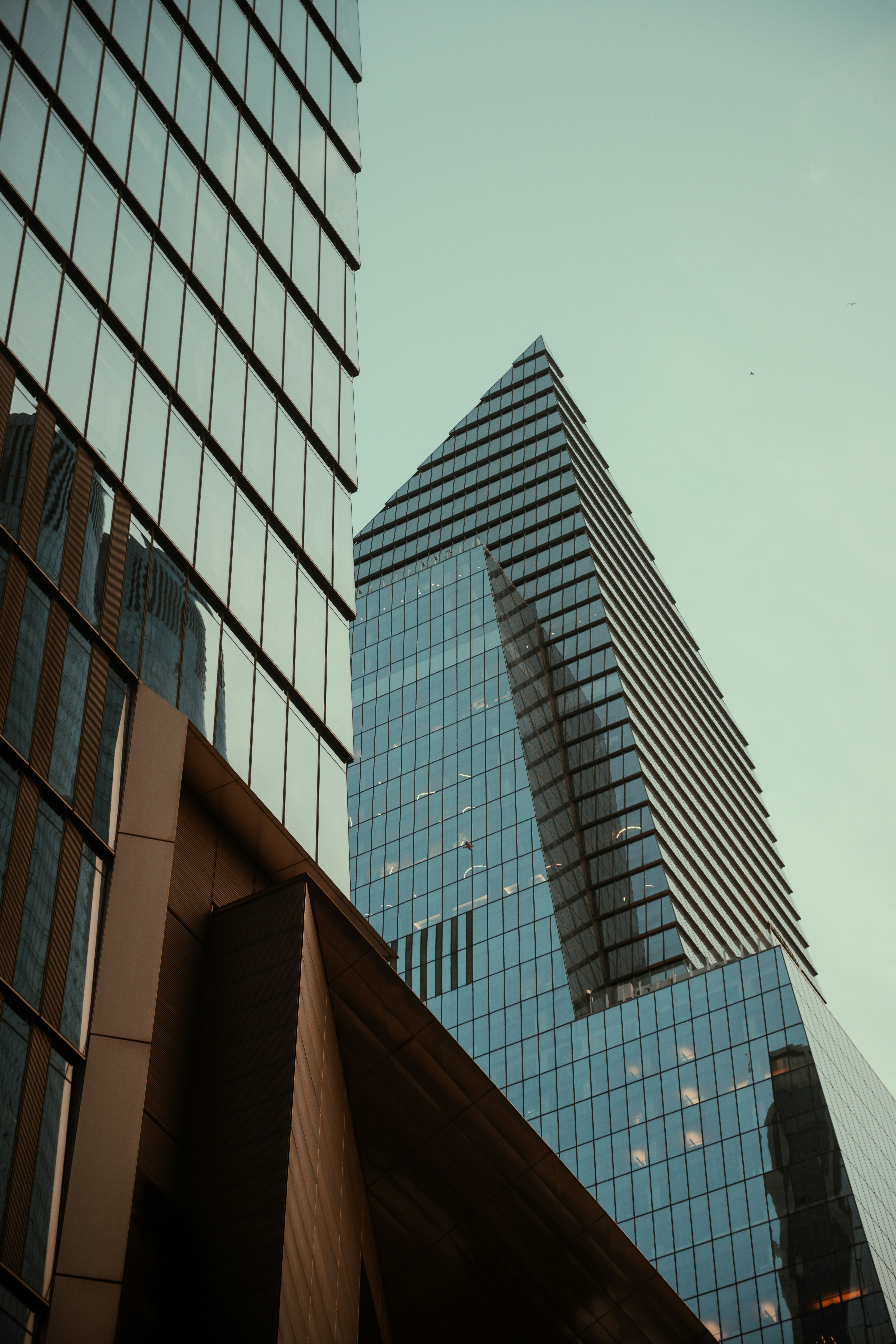 Photo by onthesearchforpineapples