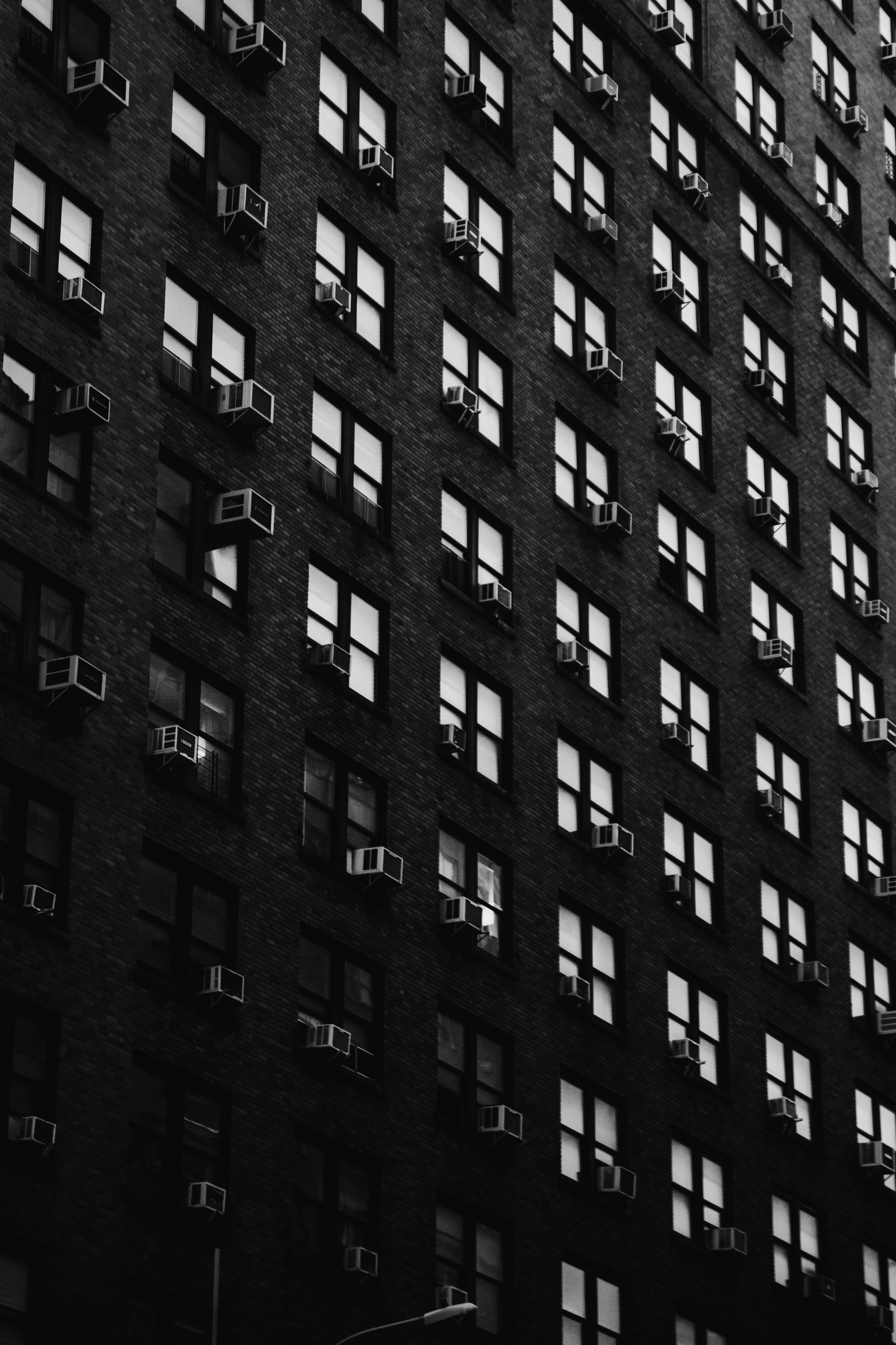 Photo by onthesearchforpineapples