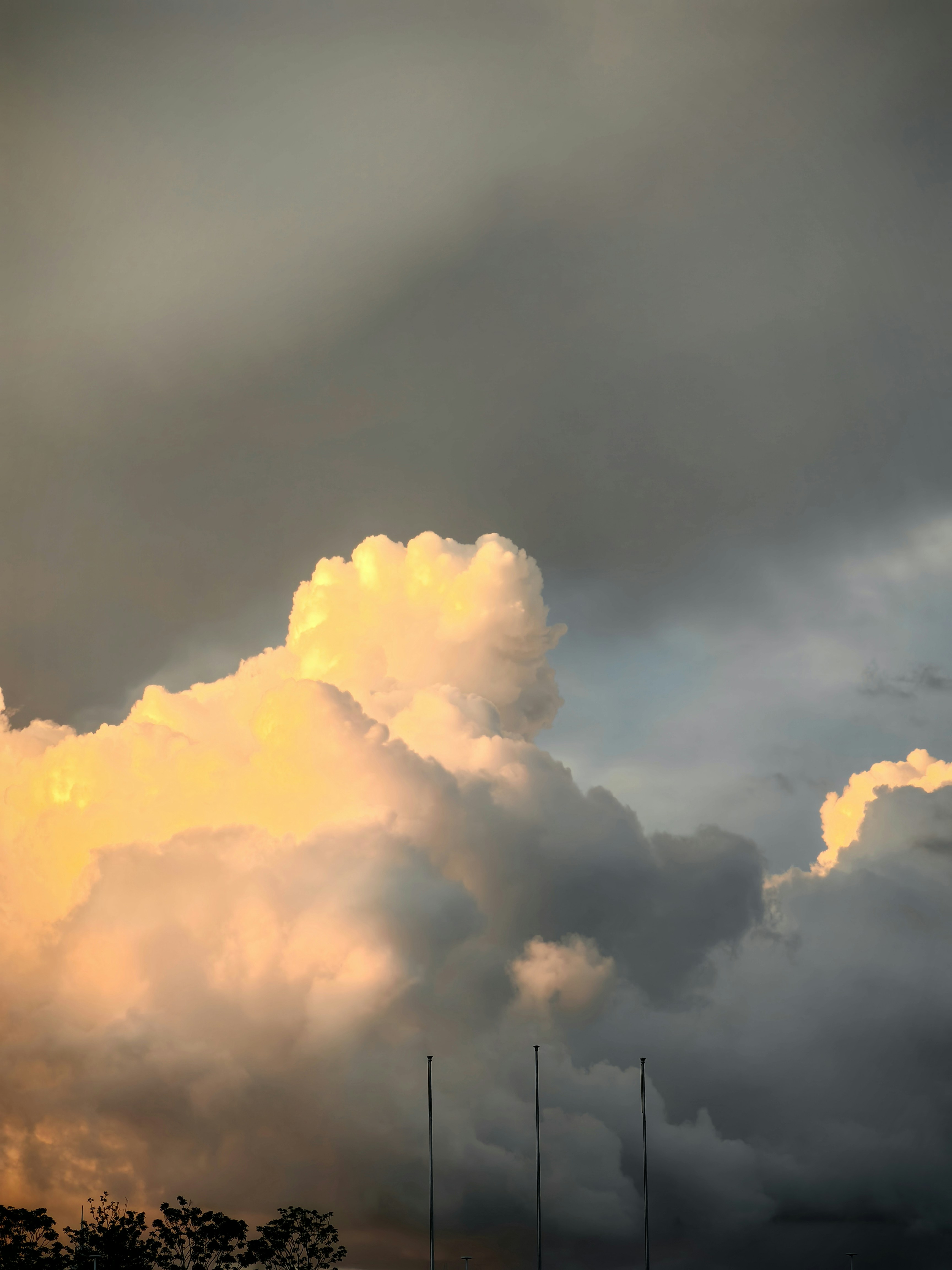 Photo by lihuajun51395709