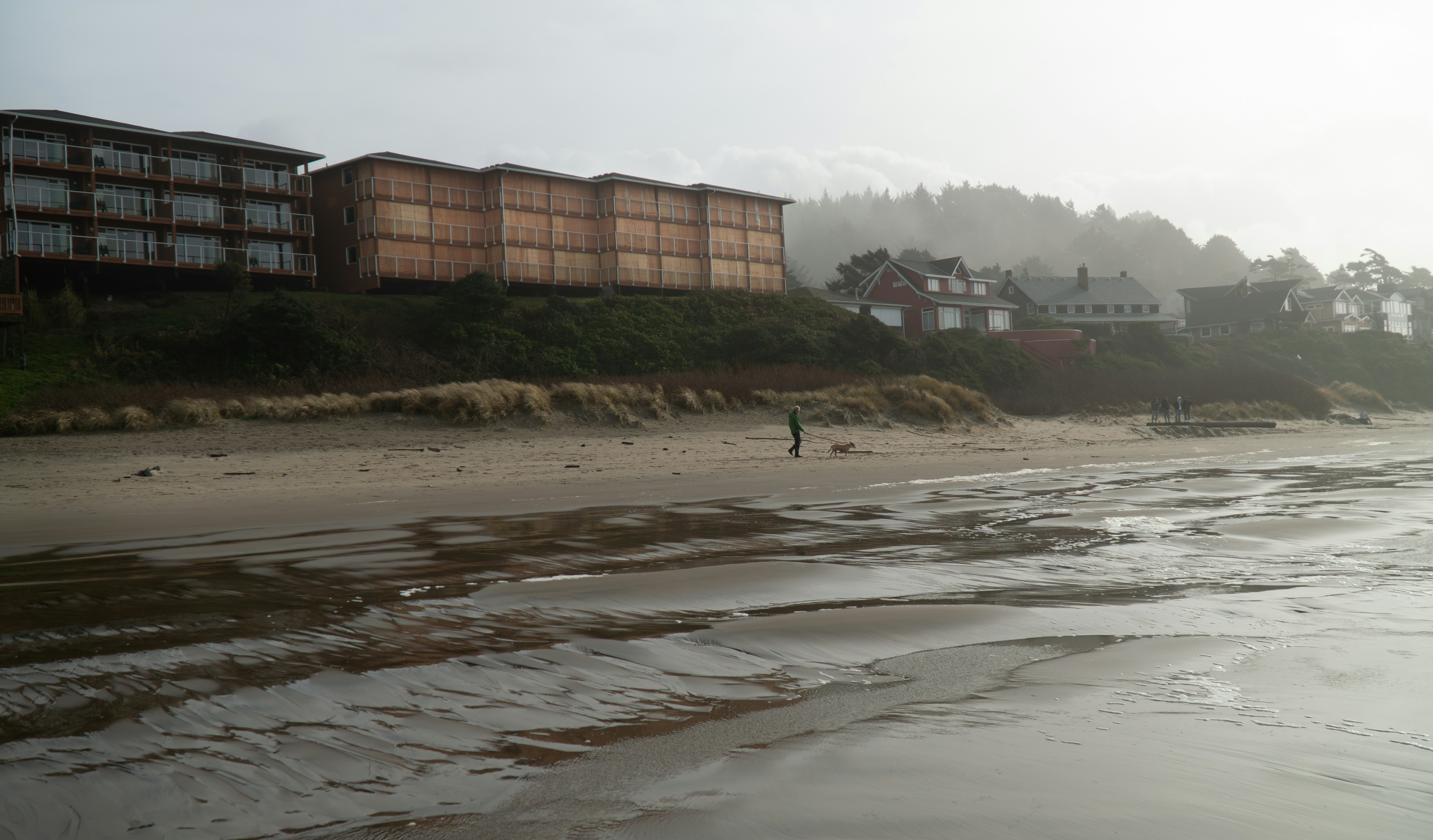 nehalem pickleball courts