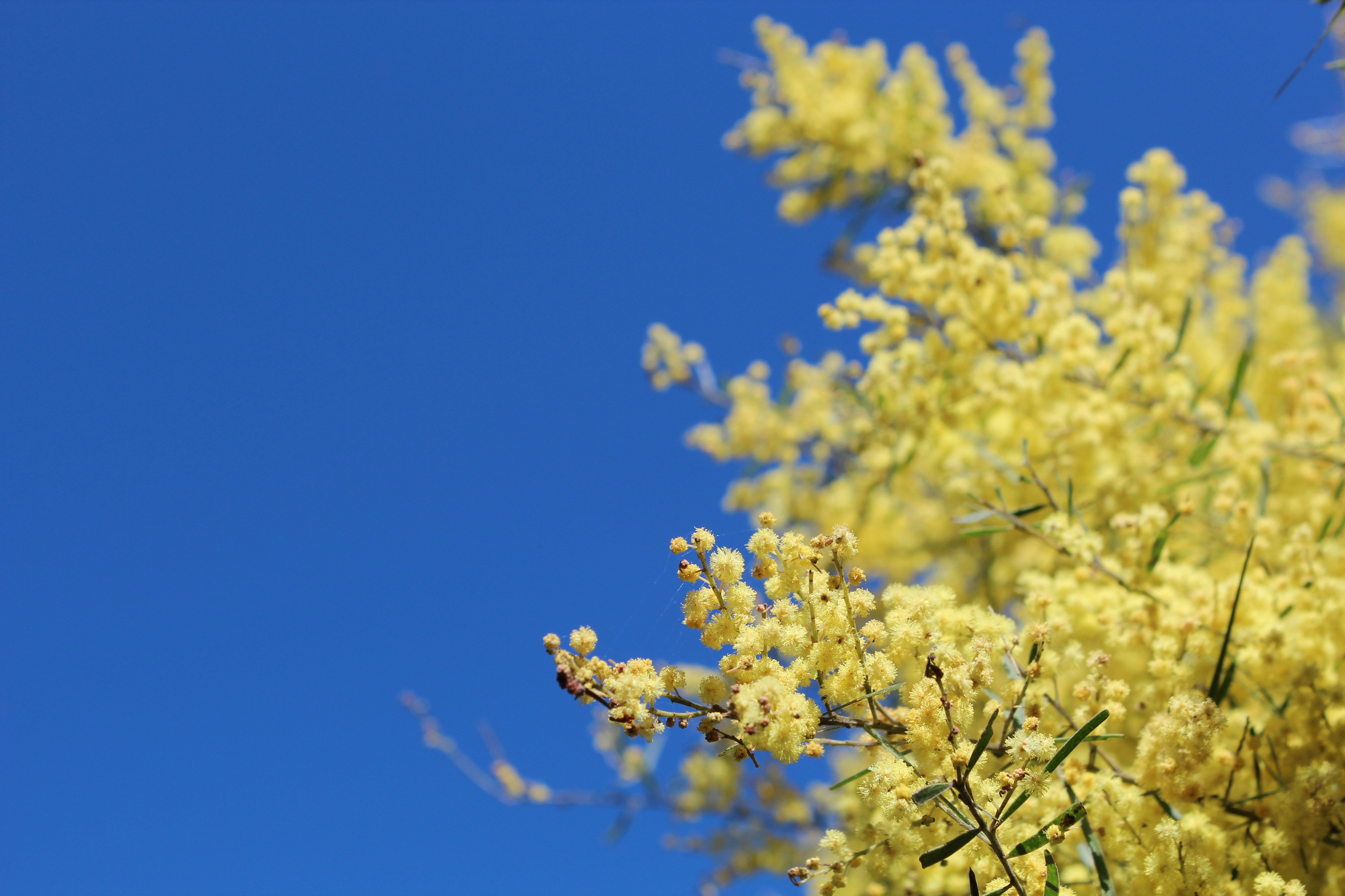 Photo by dm_photography_sc