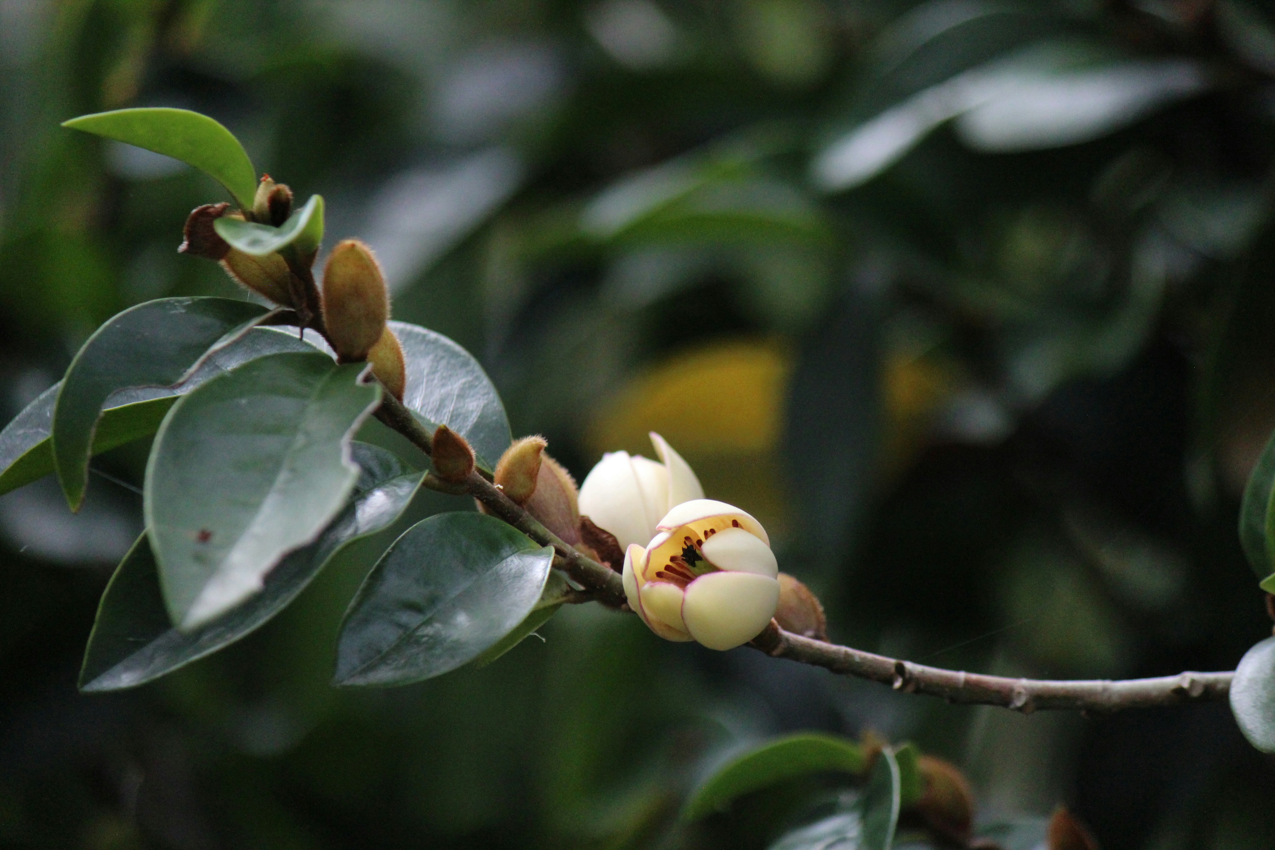 Photo by dm_photography_sc