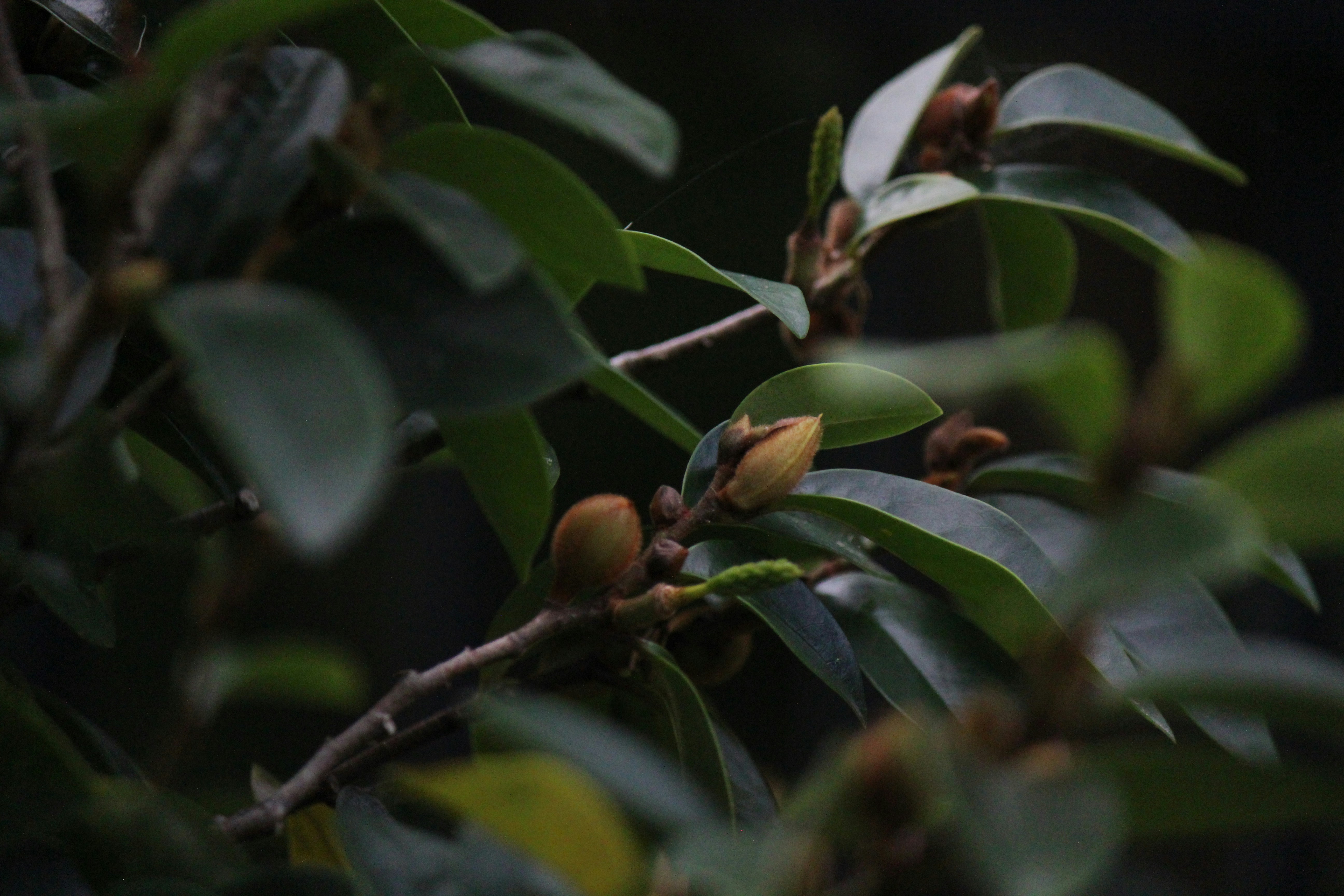 Photo by dm_photography_sc