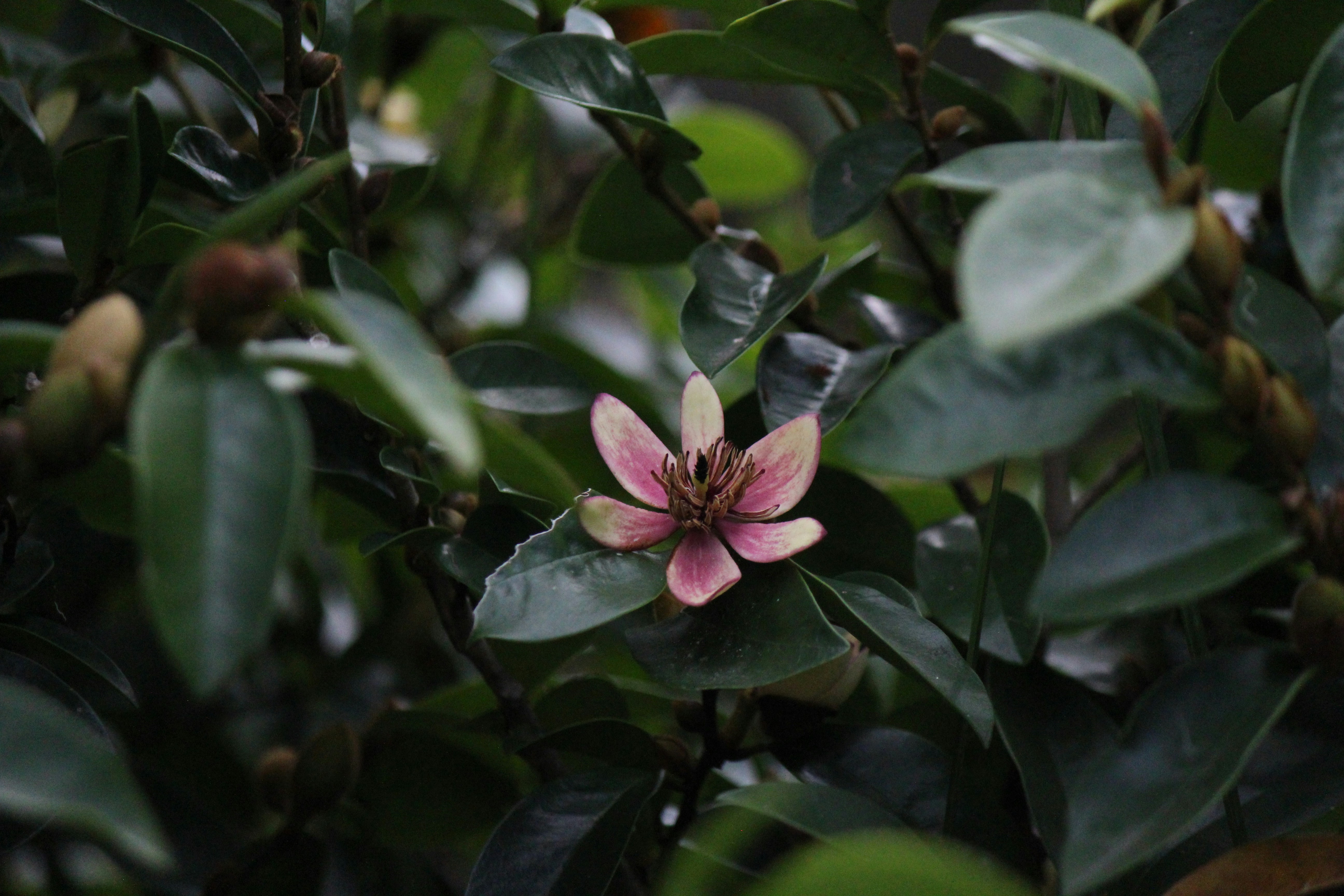 Photo by dm_photography_sc