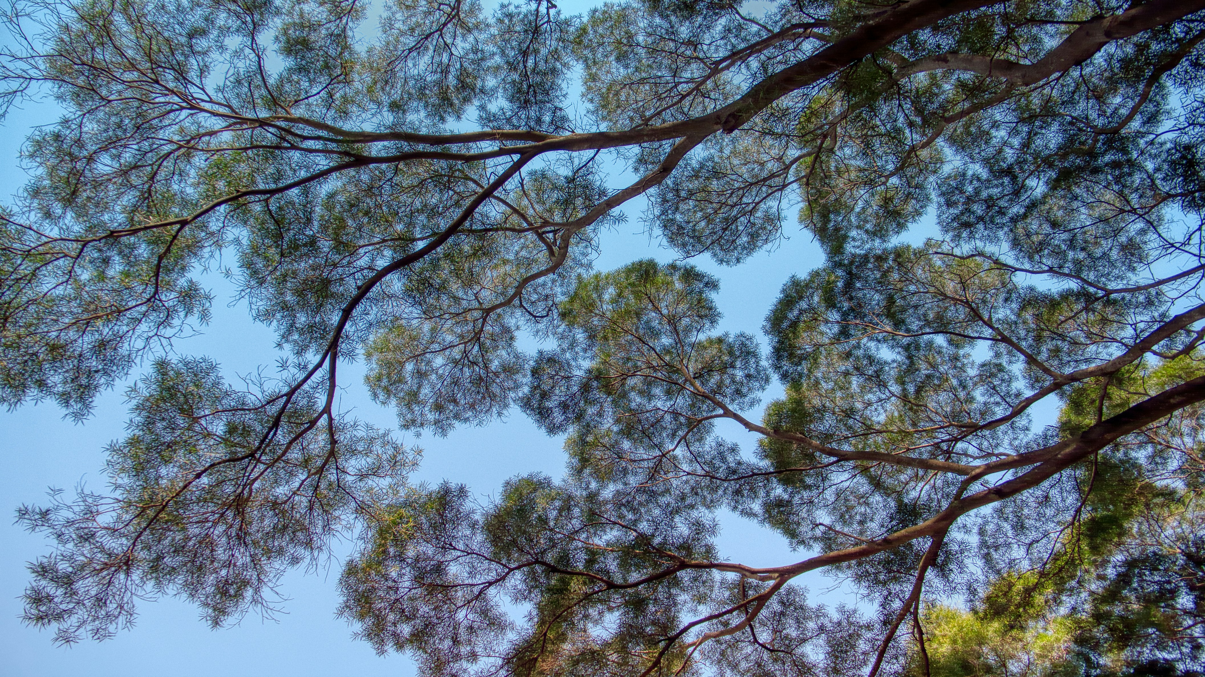 Photo by thomaskinto