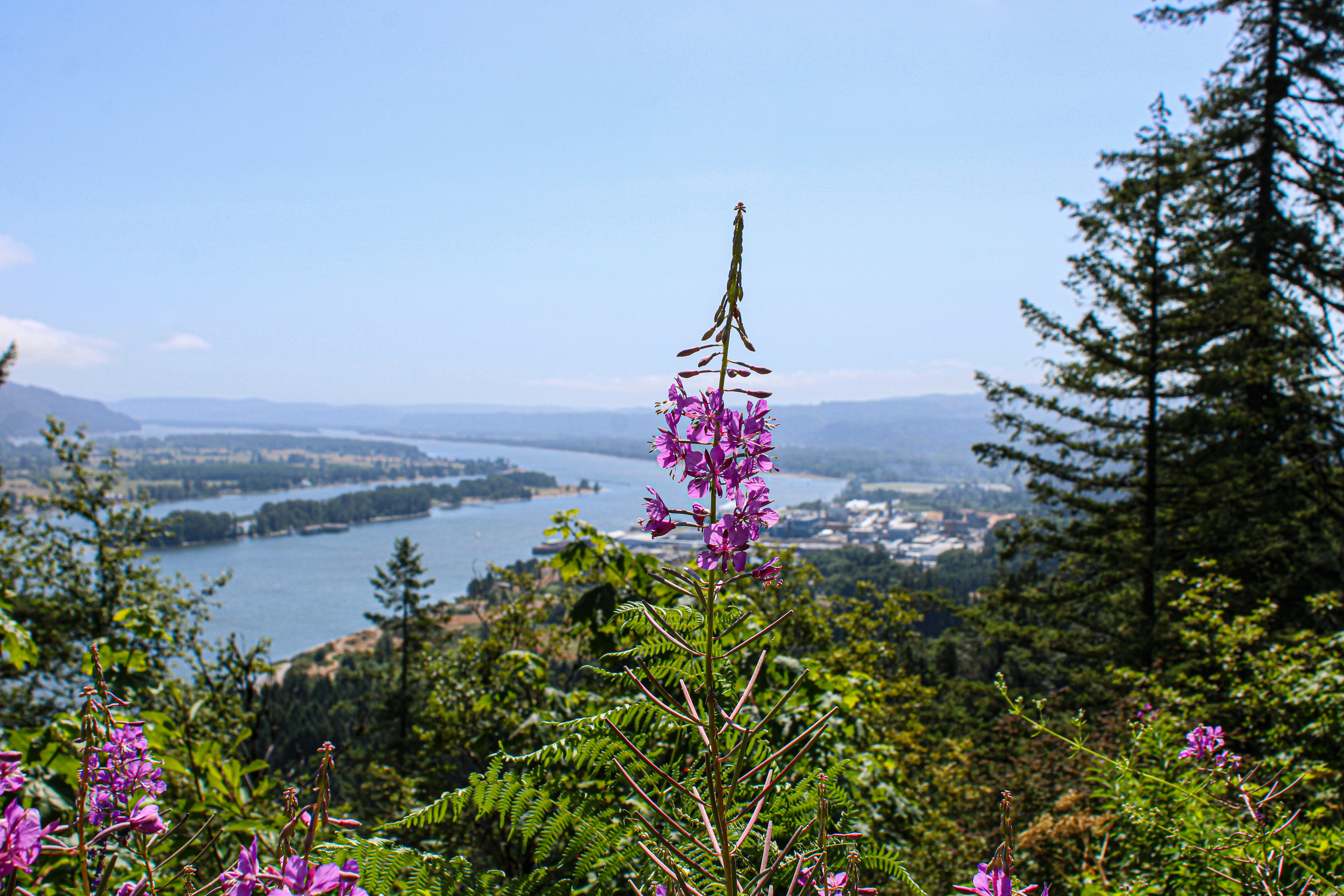 Photo by prphotography262