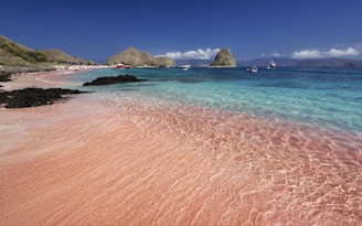 A sandy beach with clear blue water and pink sand