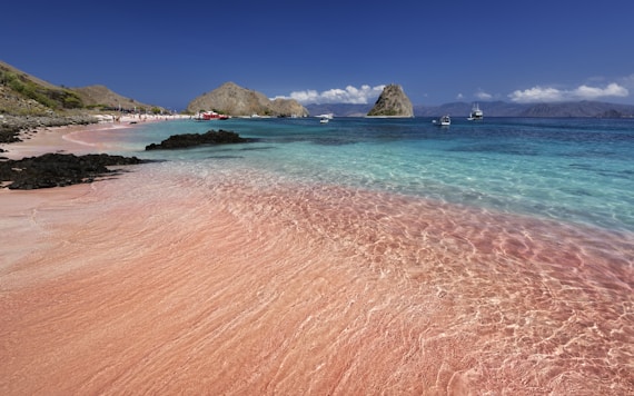 A sandy beach with clear blue water and pink sand