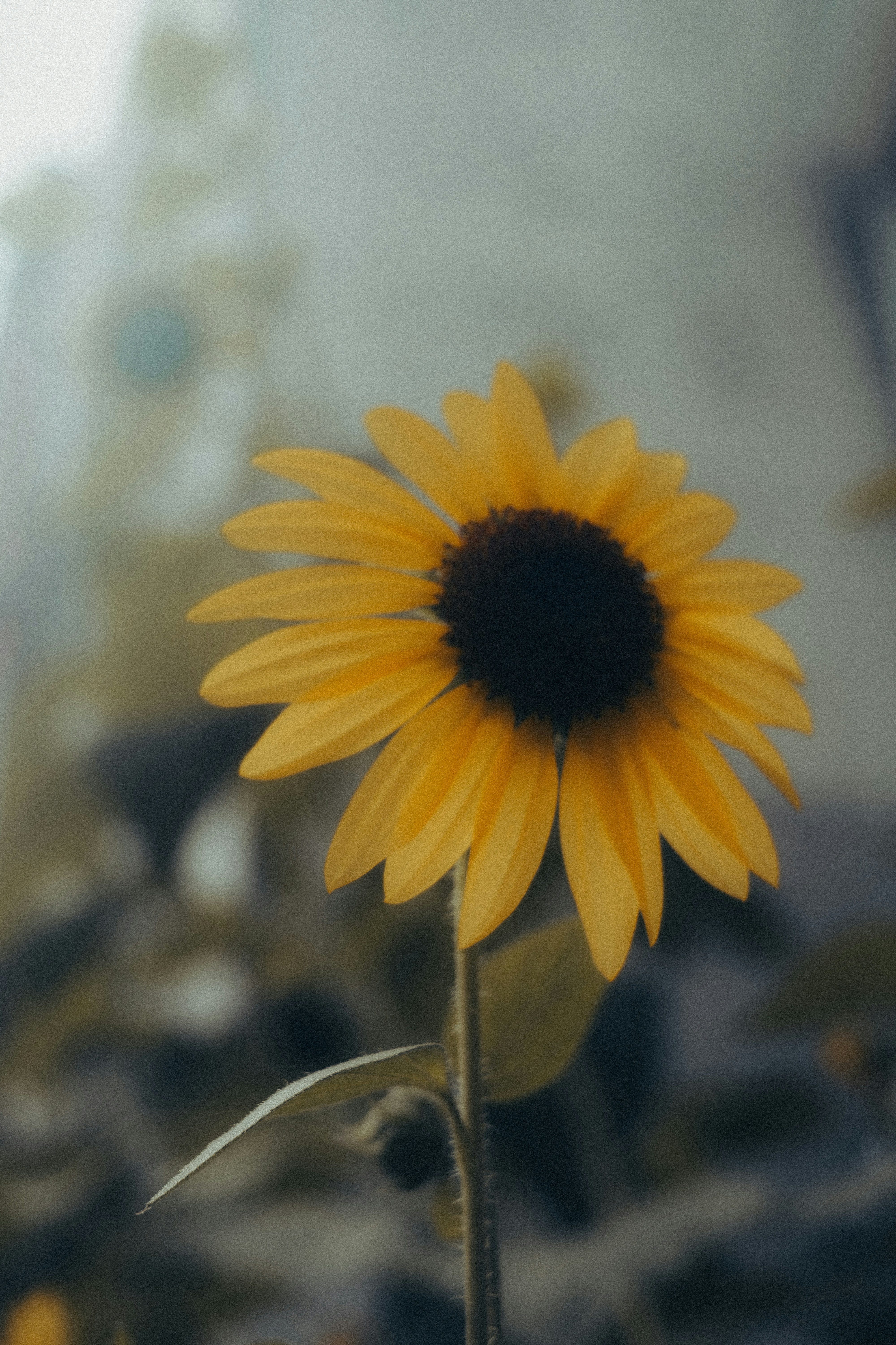 Photo by jadonjohnson