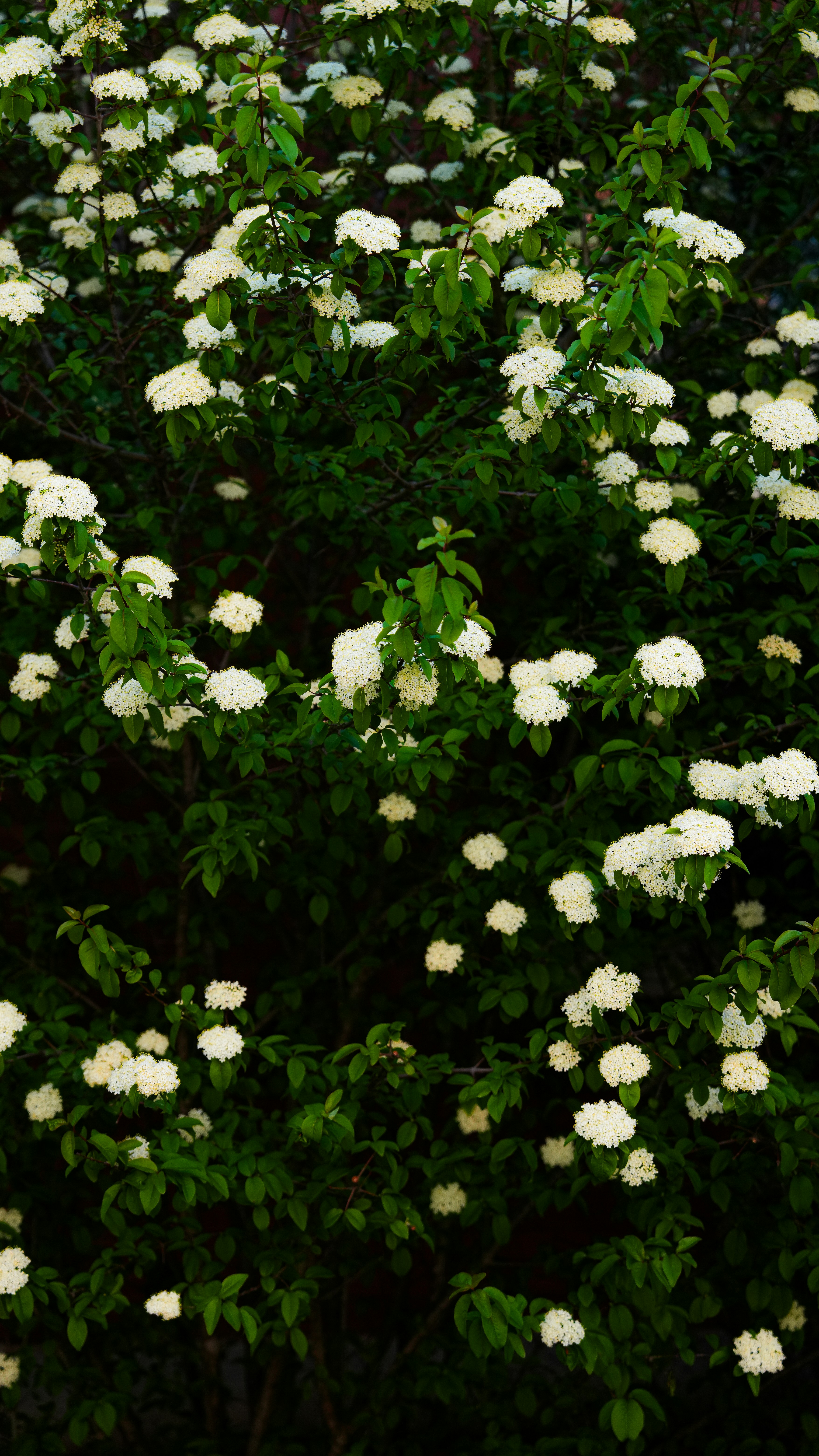 Photo by jadonjohnson