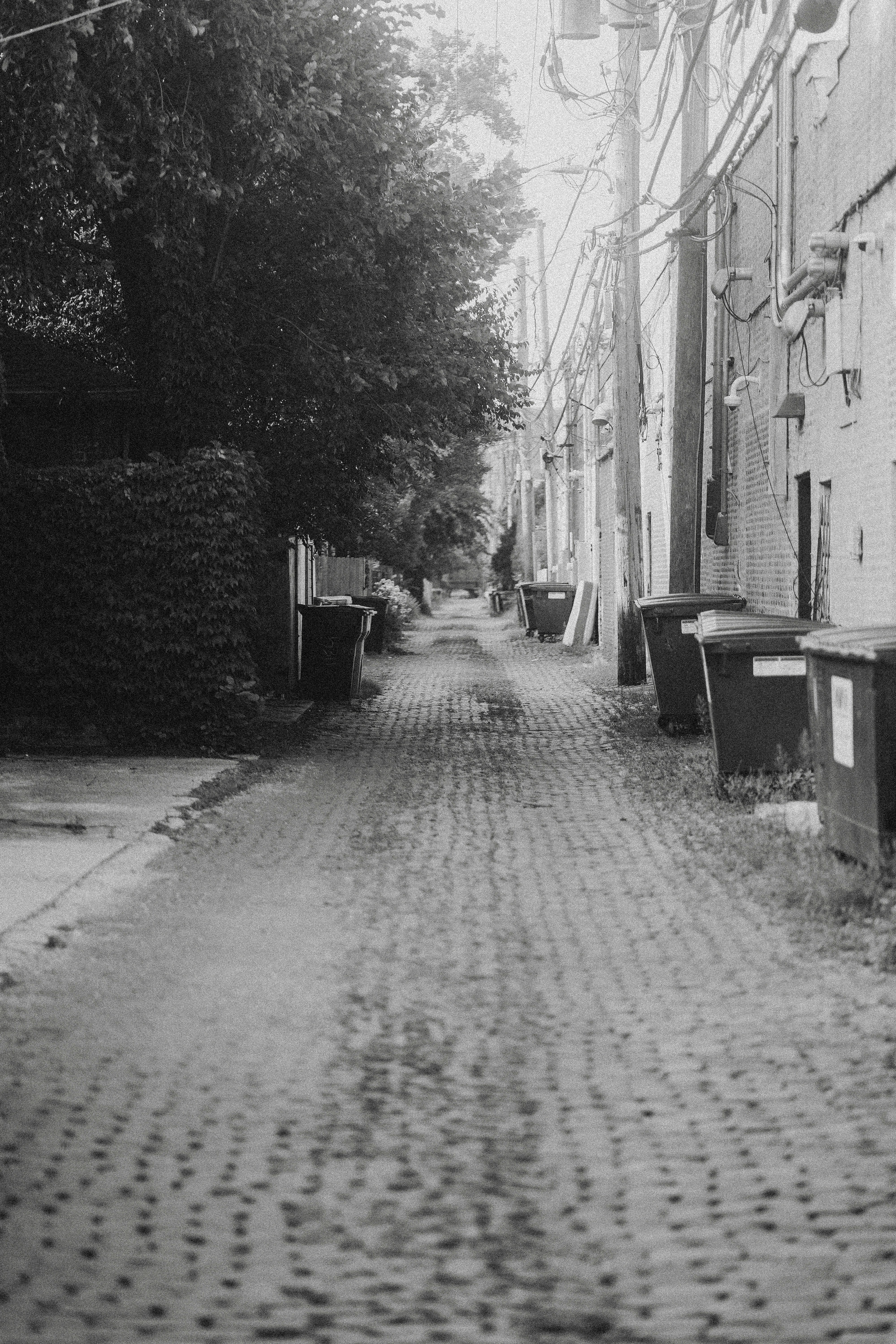 Photo by jadonjohnson