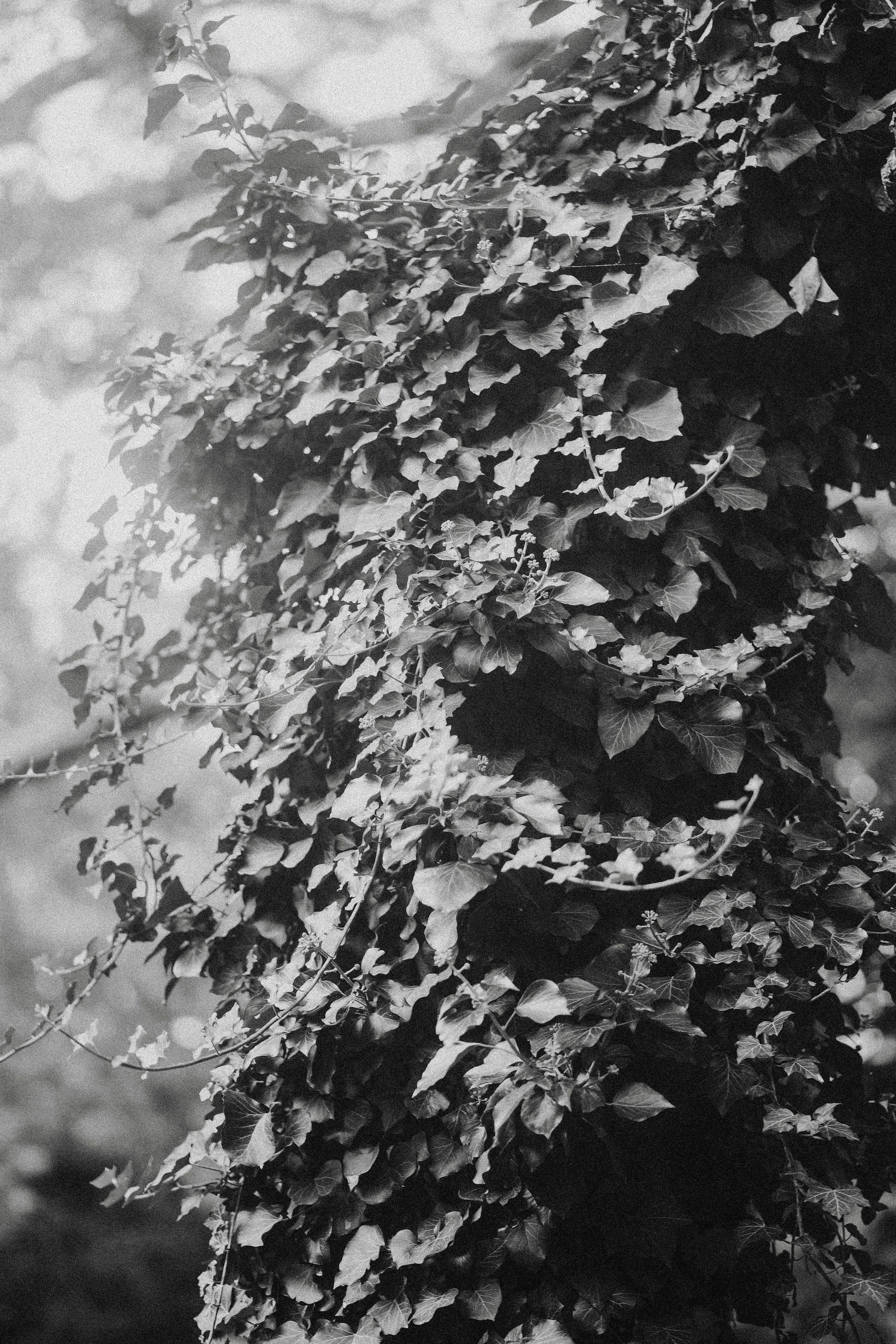 Photo by jadonjohnson