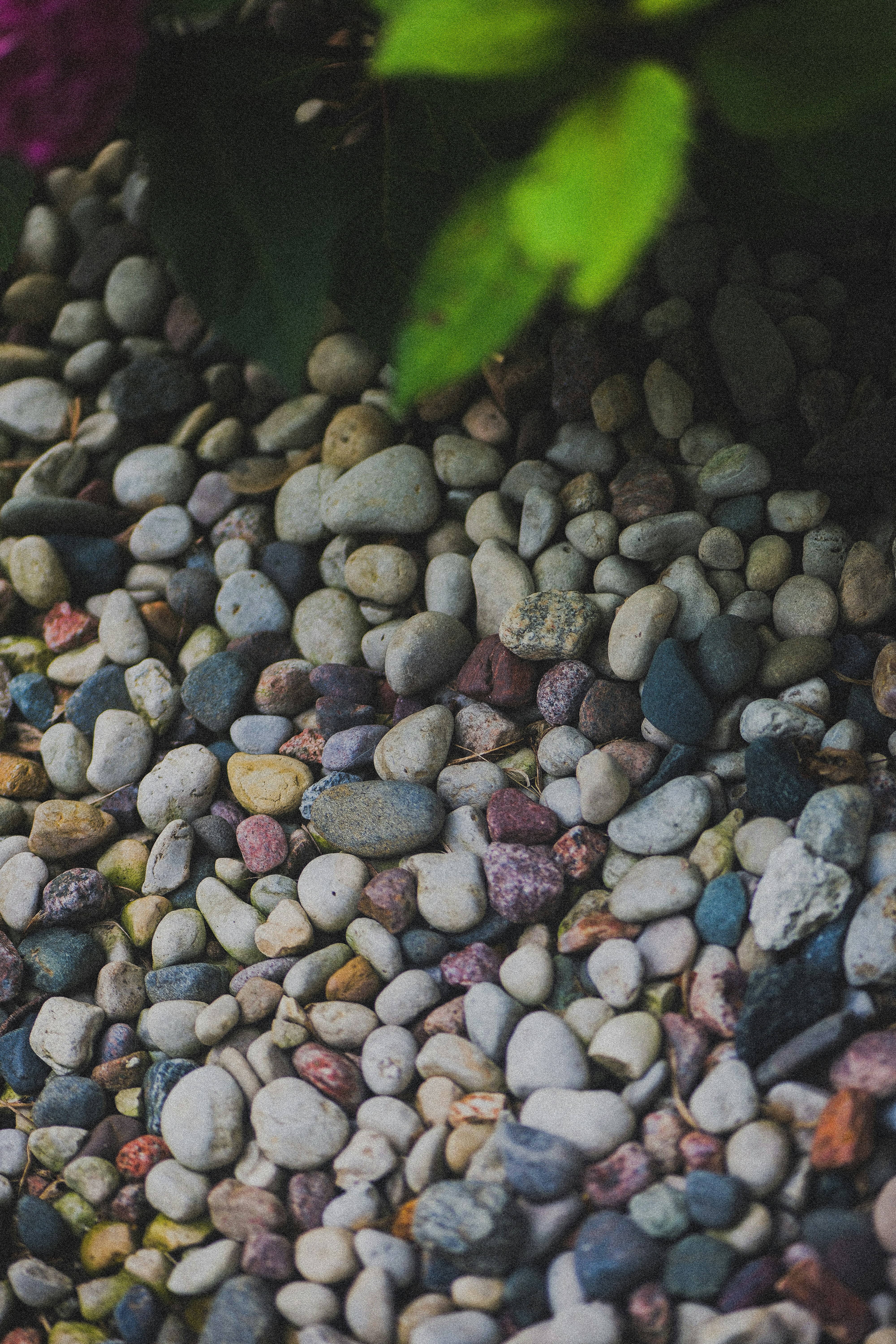 Photo by jadonjohnson