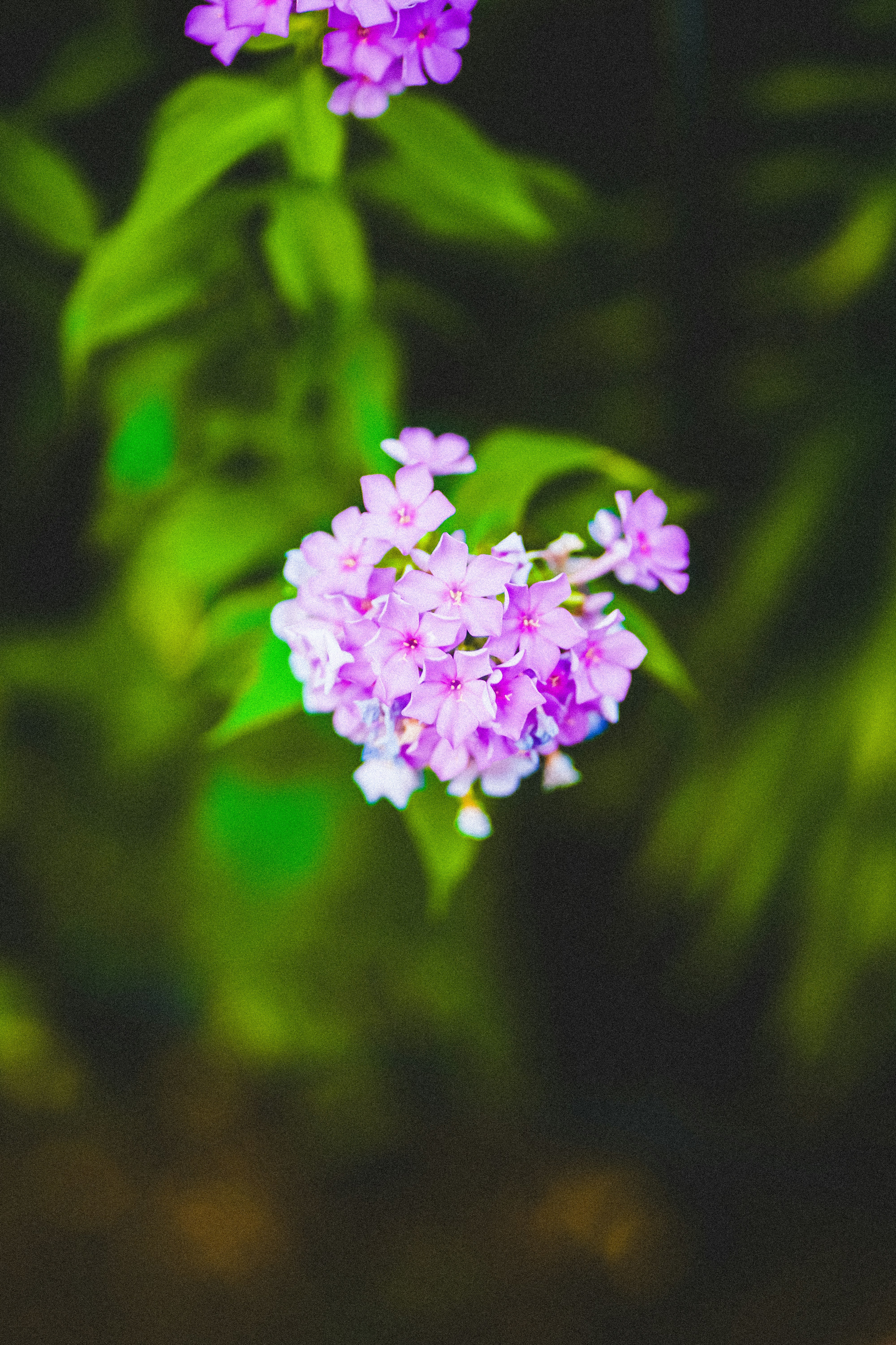 Photo by jadonjohnson