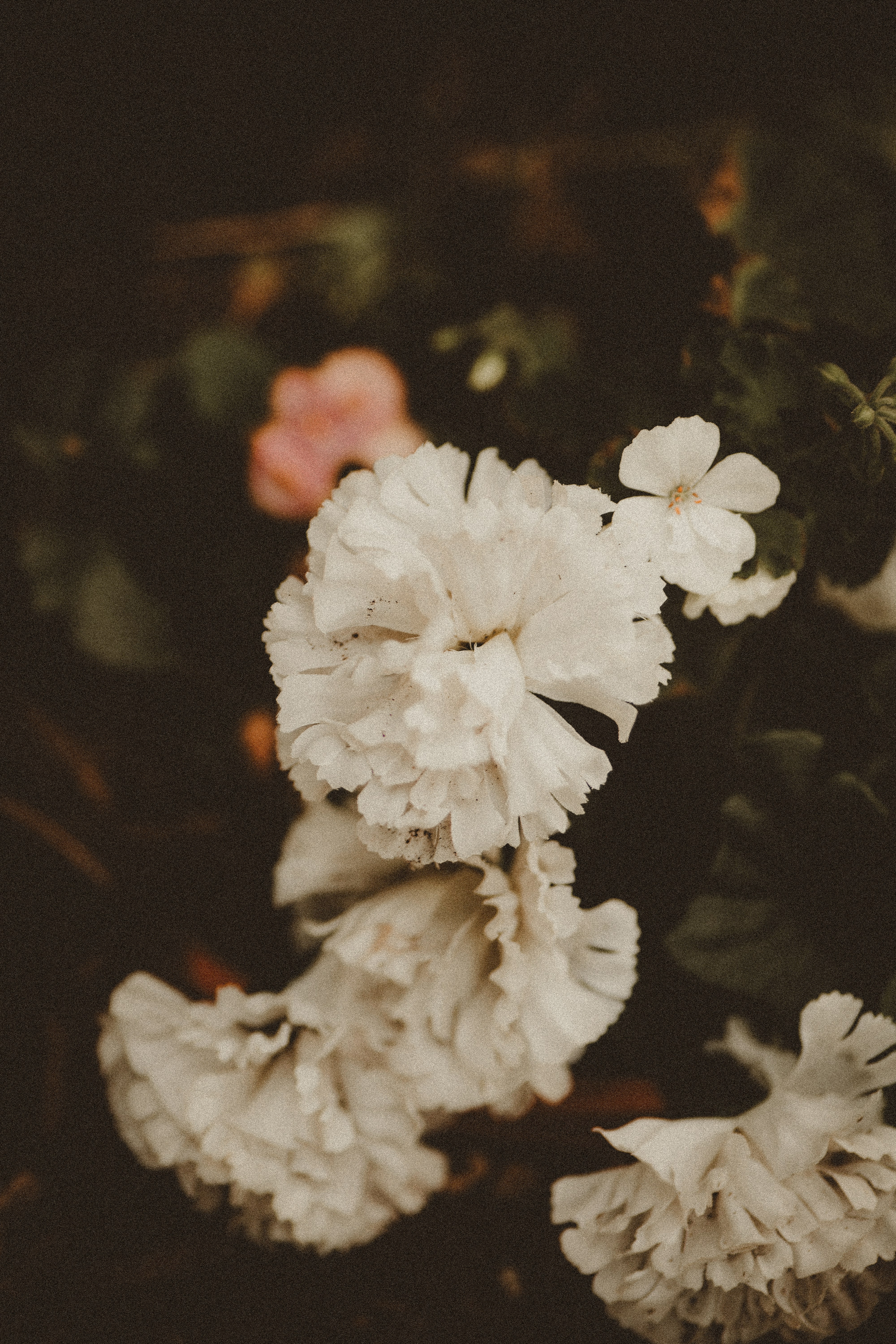 Photo by jadonjohnson