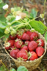 Health Vibes - Organic fruit is clean without pesticides