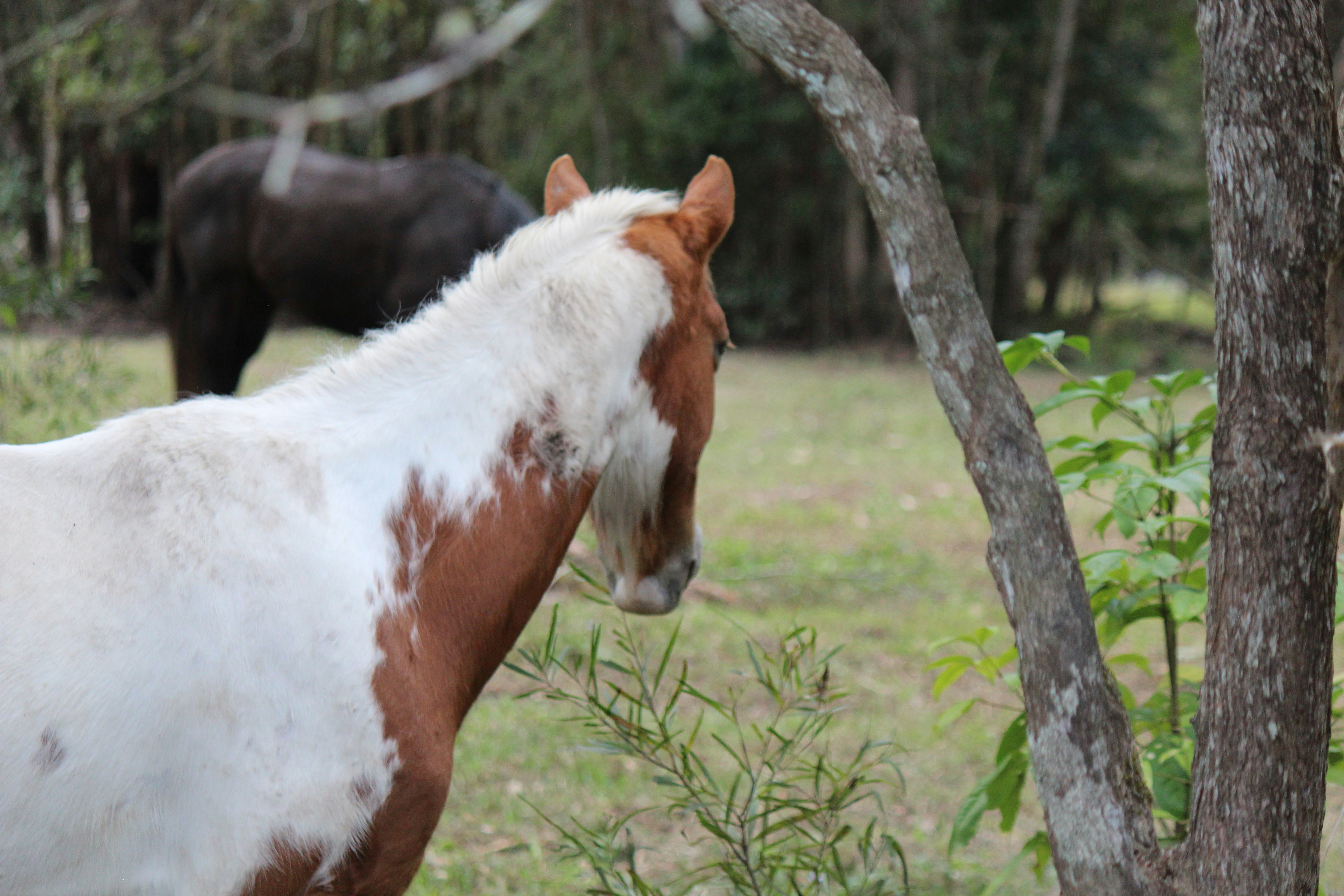 Photo by dm_photography_sc