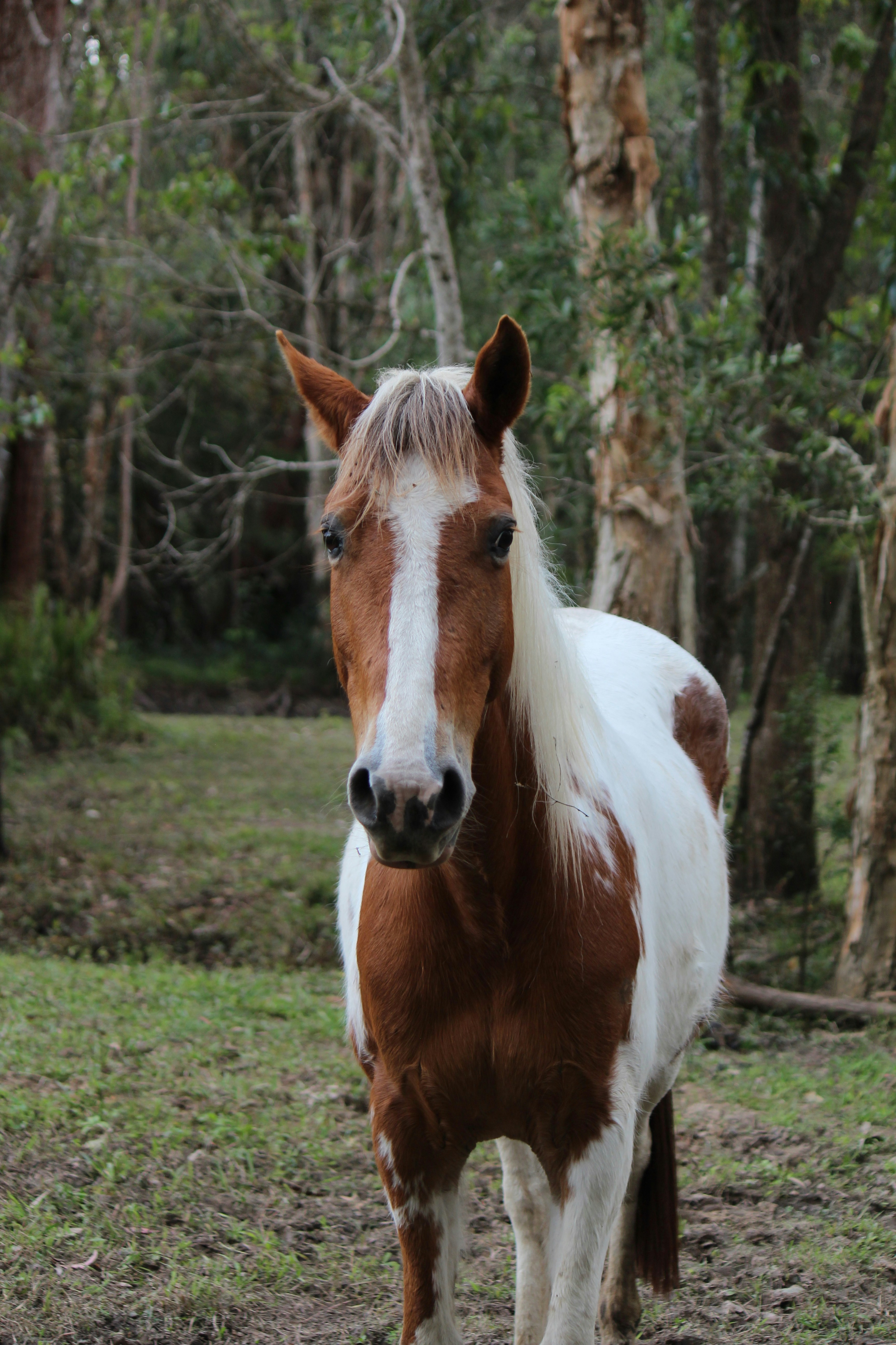 Photo by dm_photography_sc