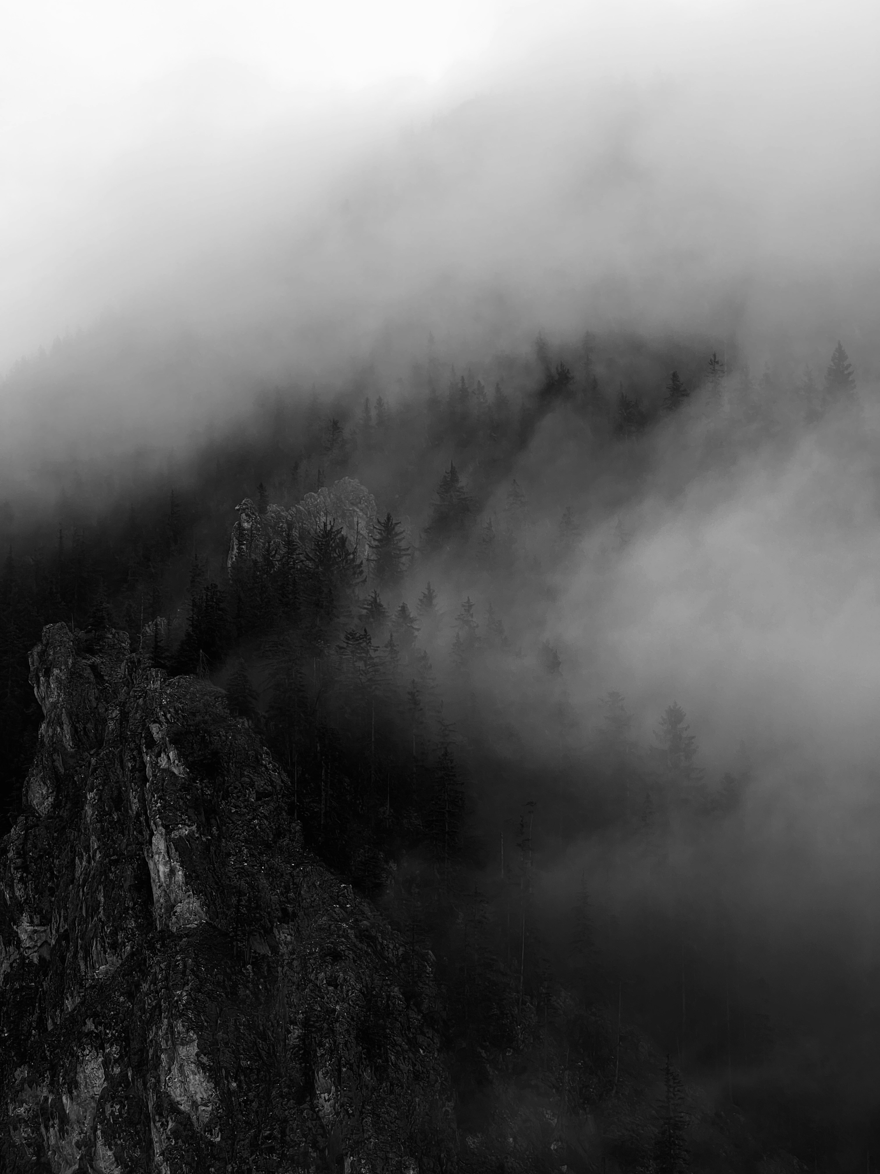 Photo by luis_de_leon