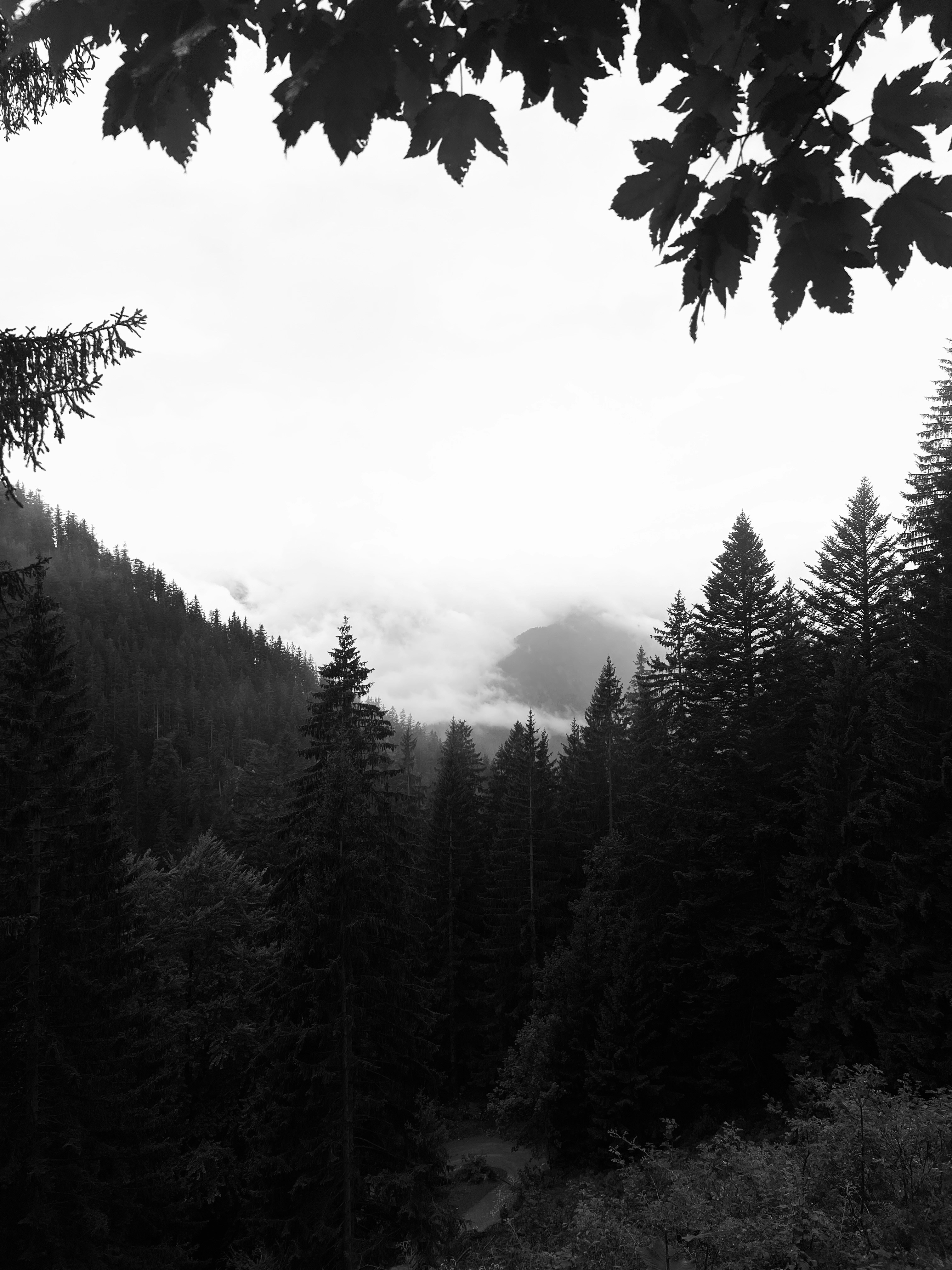 Photo by luis_de_leon